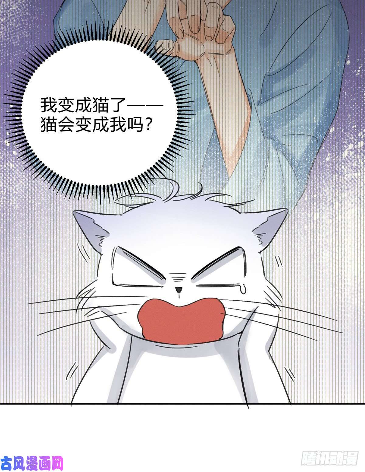 今天也要努力当只猫第2话 我来照顾他吧！