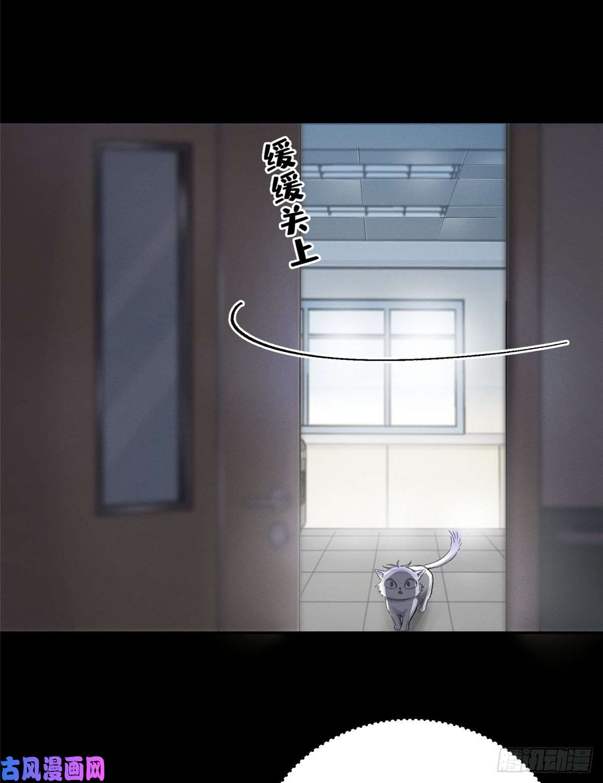 今天也要努力当只猫第2话 我来照顾他吧！