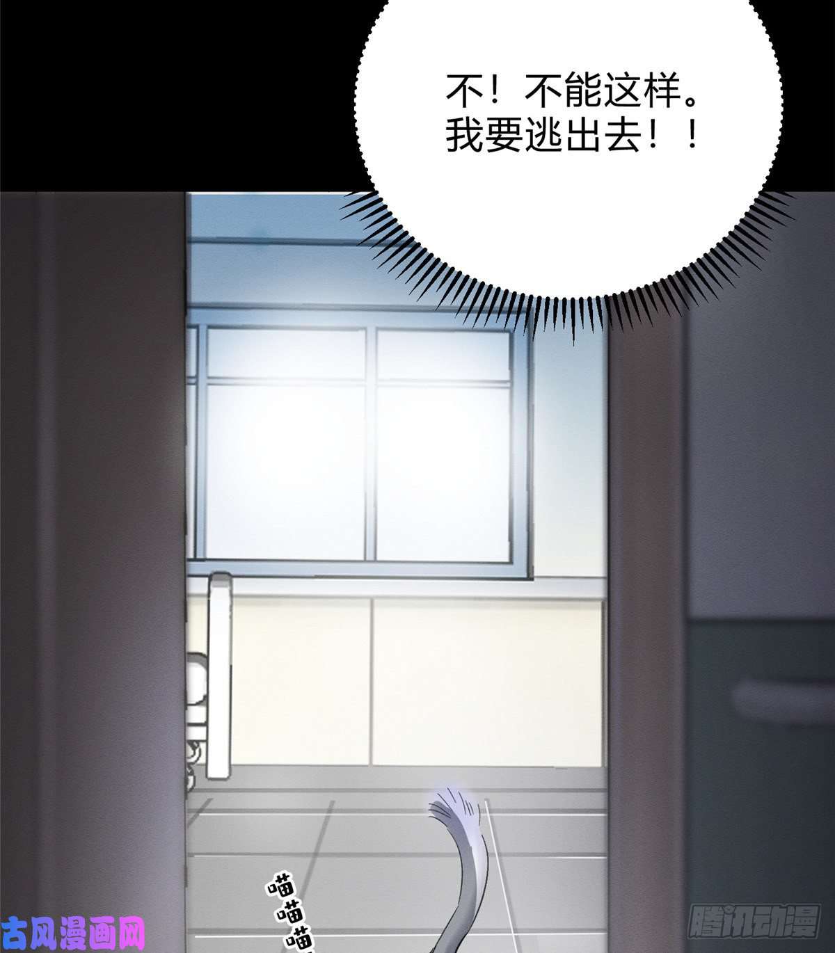 今天也要努力当只猫第2话 我来照顾他吧！