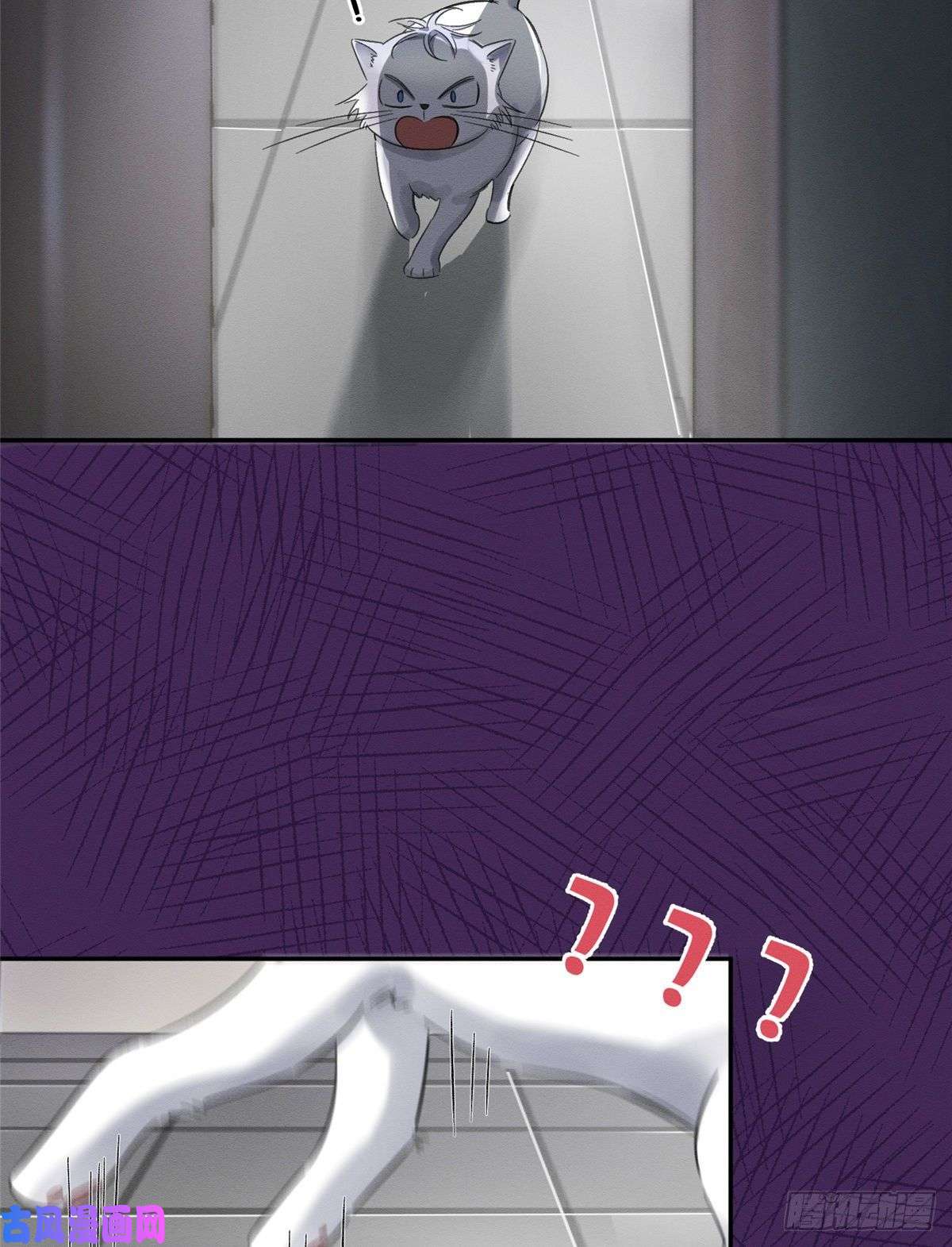 今天也要努力当只猫第2话 我来照顾他吧！