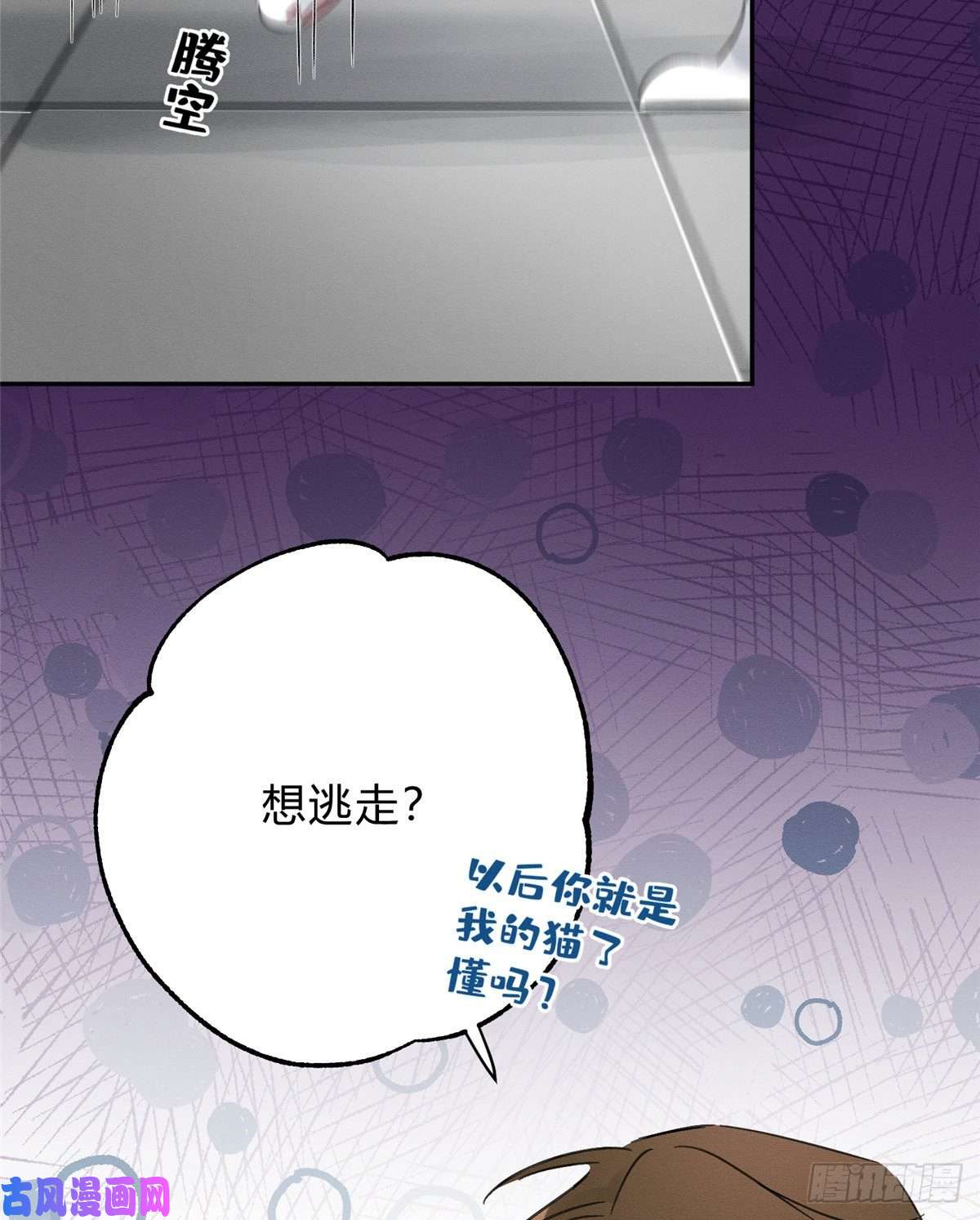 今天也要努力当只猫第2话 我来照顾他吧！