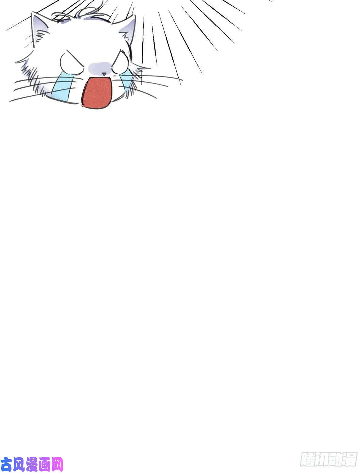 今天也要努力当只猫第2话 我来照顾他吧！