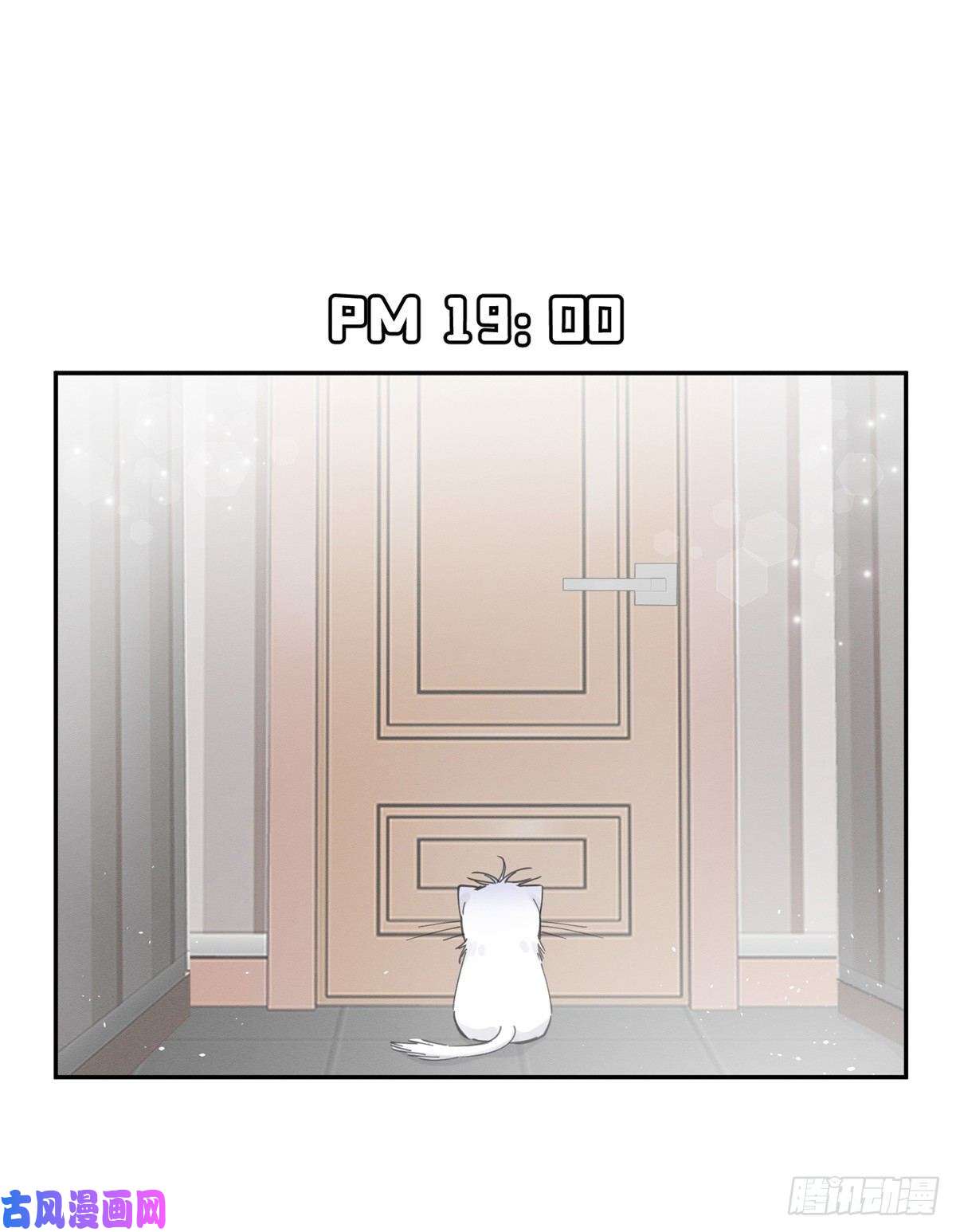 今天也要努力当只猫第5话 是公的！