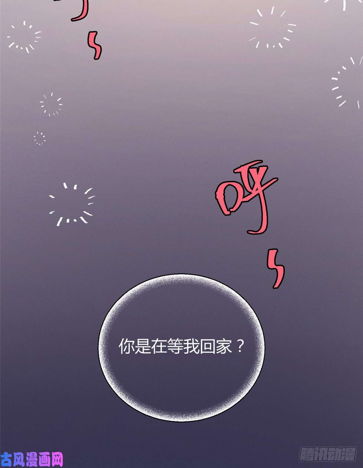 今天也要努力当只猫第5话 是公的！