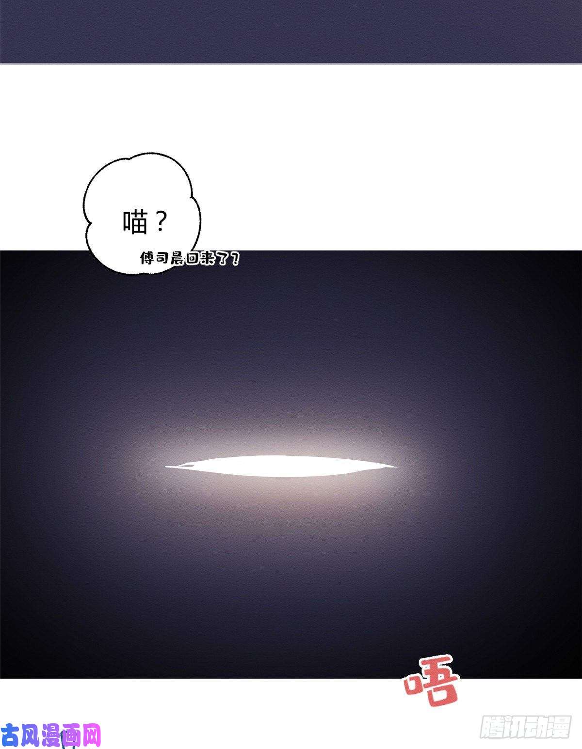 今天也要努力当只猫第5话 是公的！