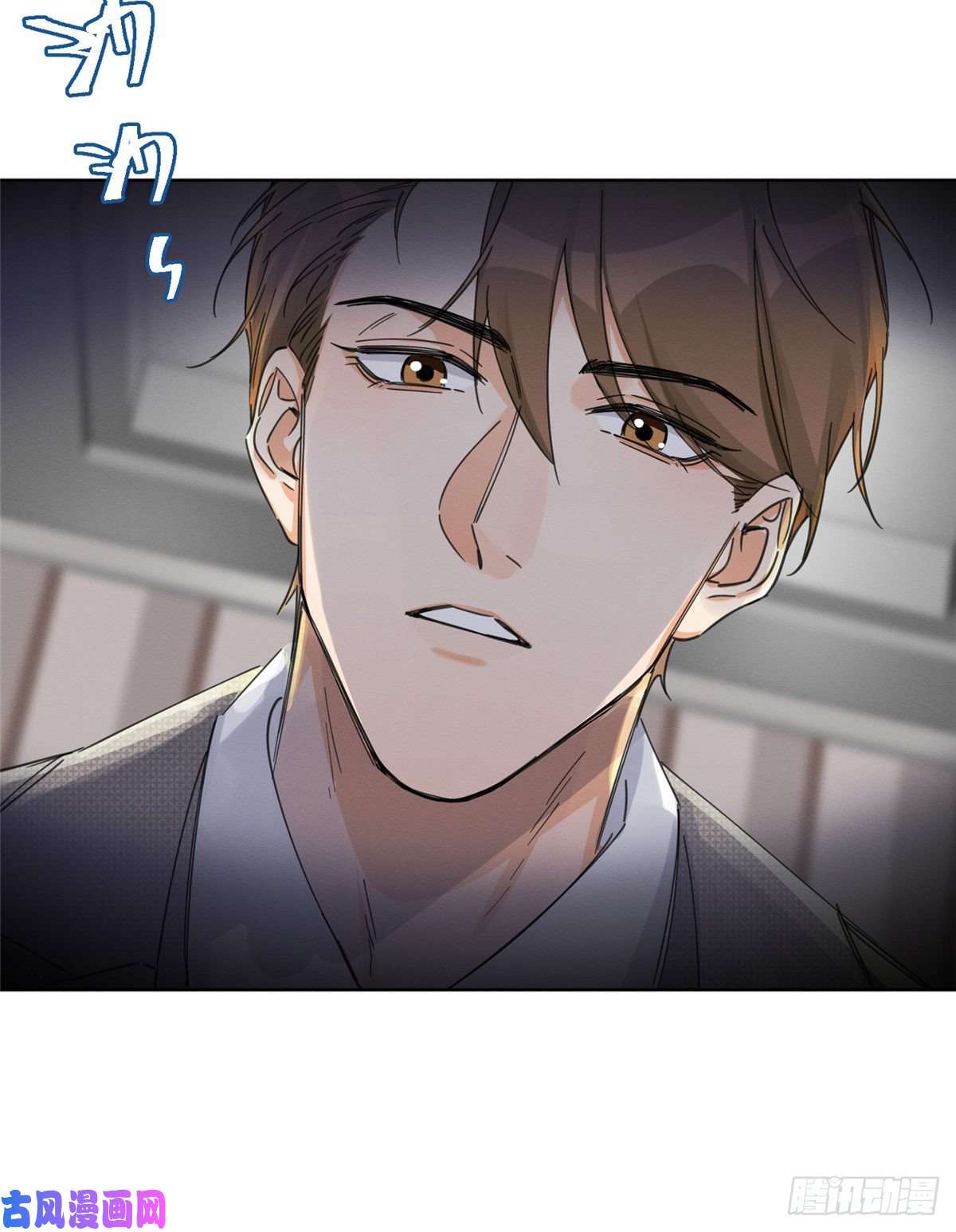 今天也要努力当只猫第5话 是公的！