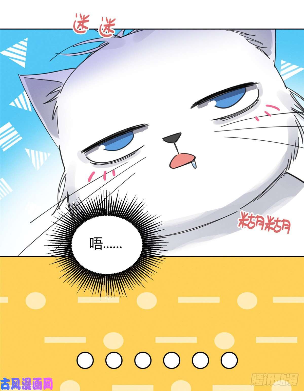 今天也要努力当只猫第5话 是公的！