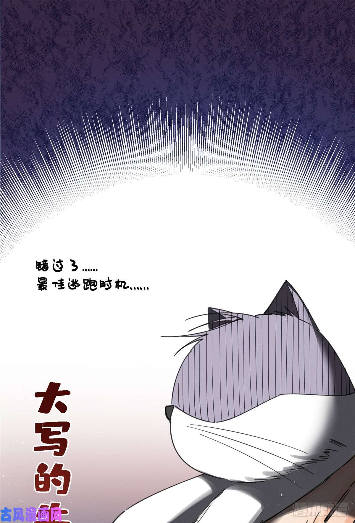 今天也要努力当只猫第5话 是公的！