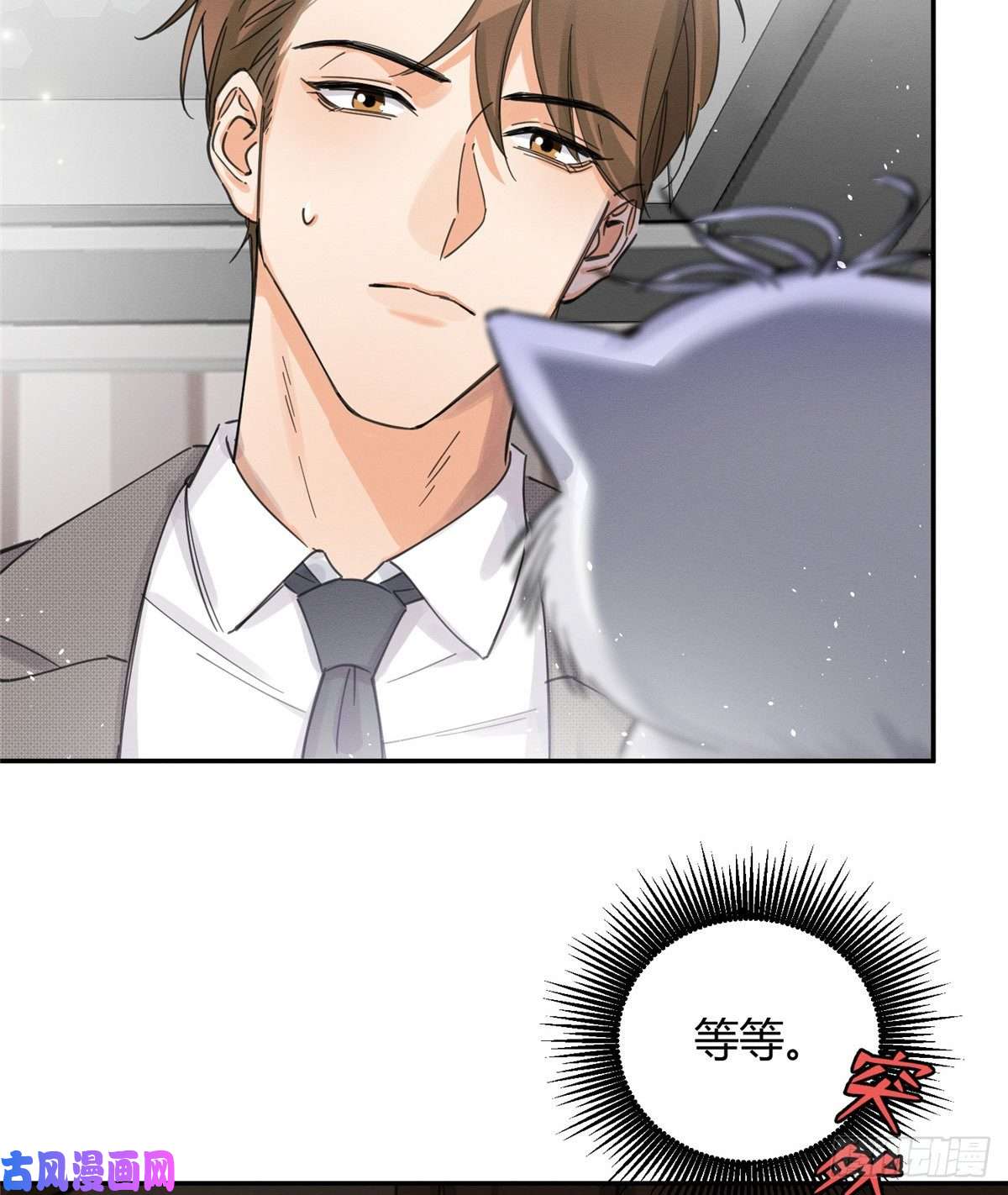 今天也要努力当只猫第5话 是公的！