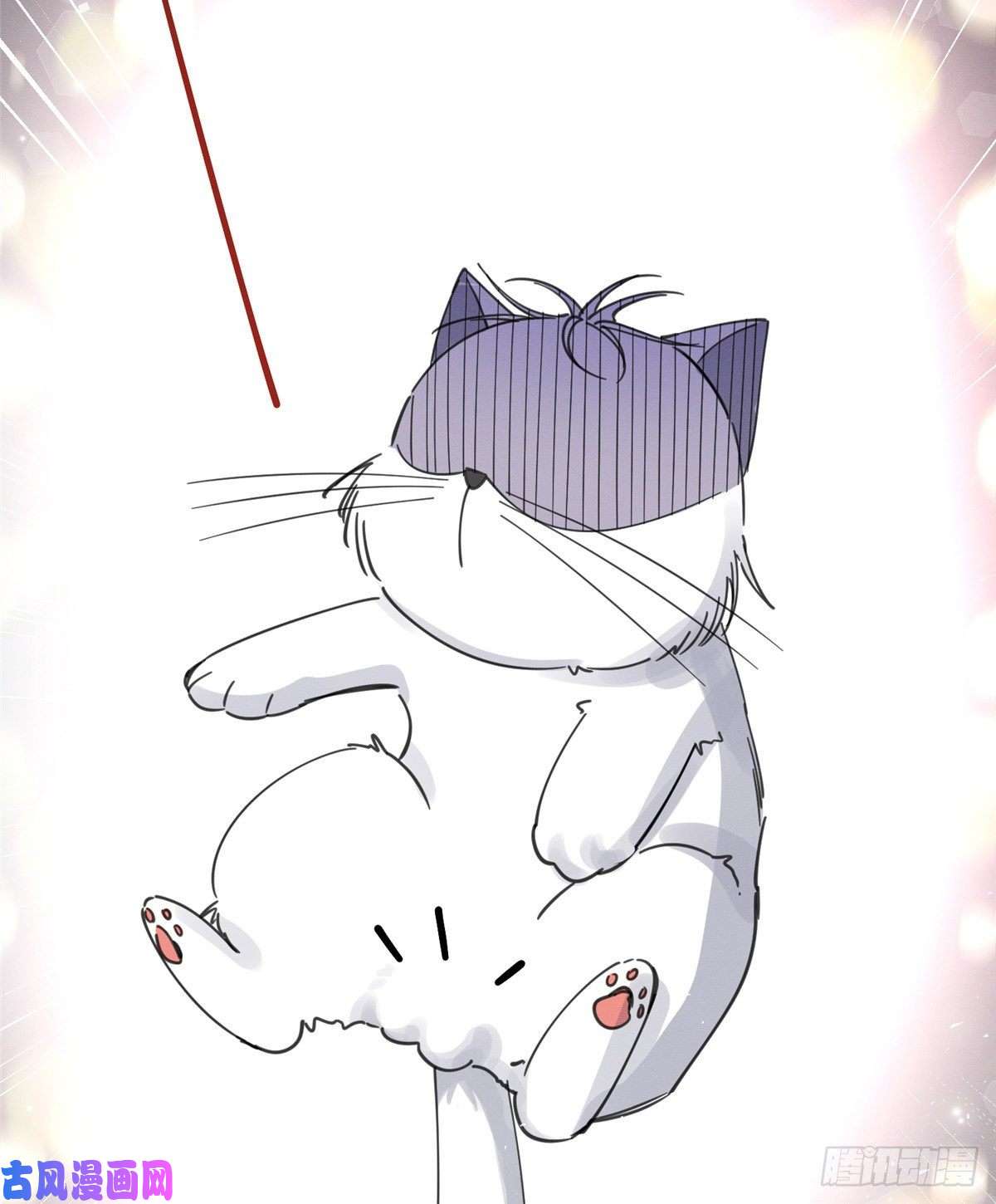 今天也要努力当只猫第5话 是公的！