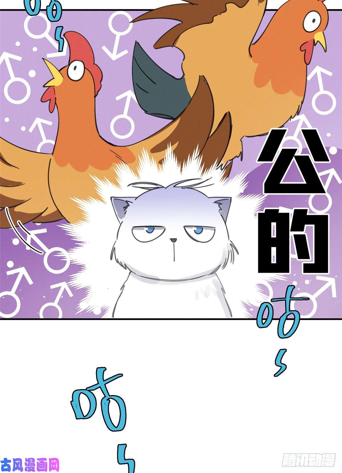 今天也要努力当只猫第5话 是公的！