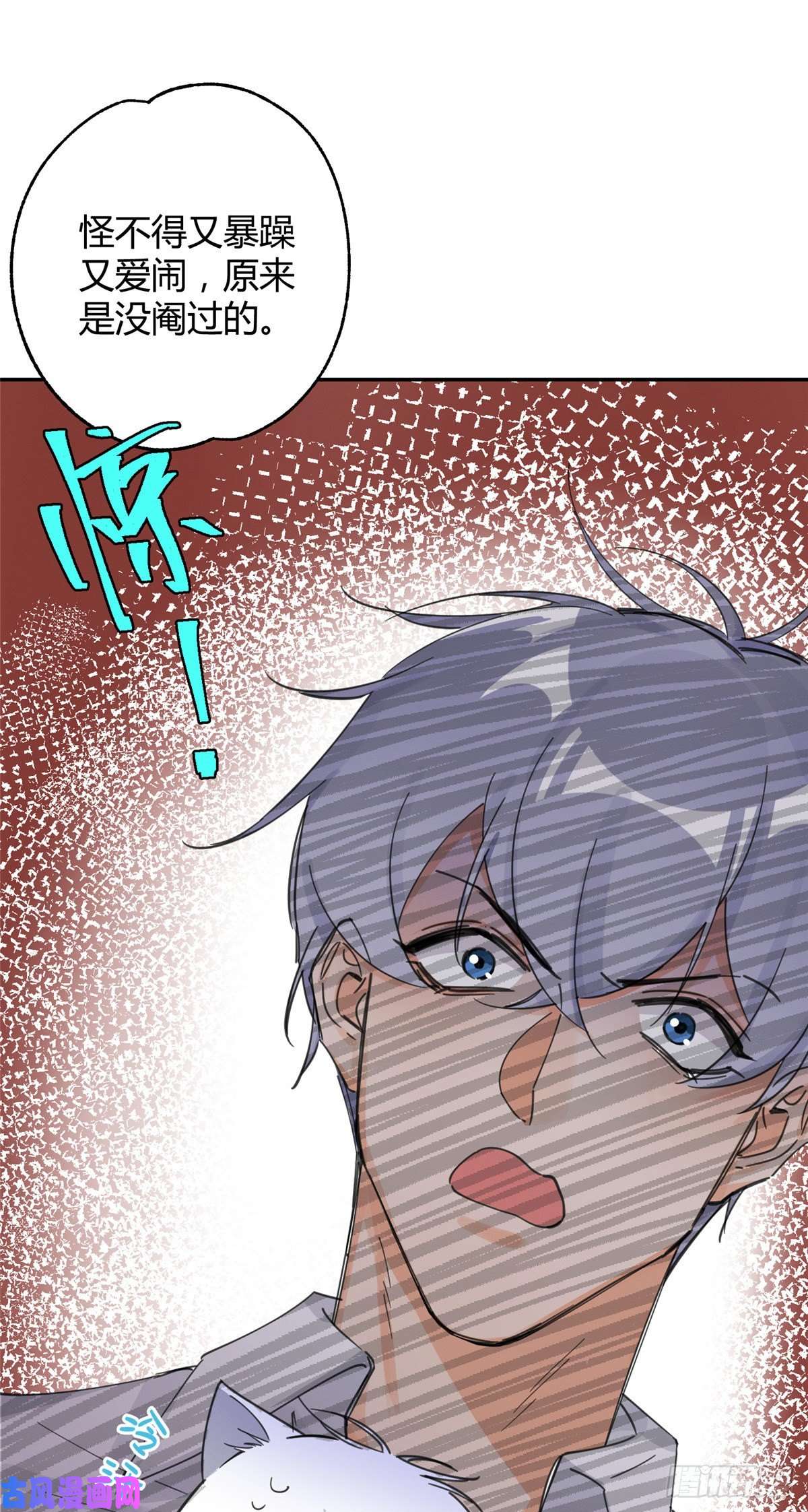 今天也要努力当只猫第5话 是公的！