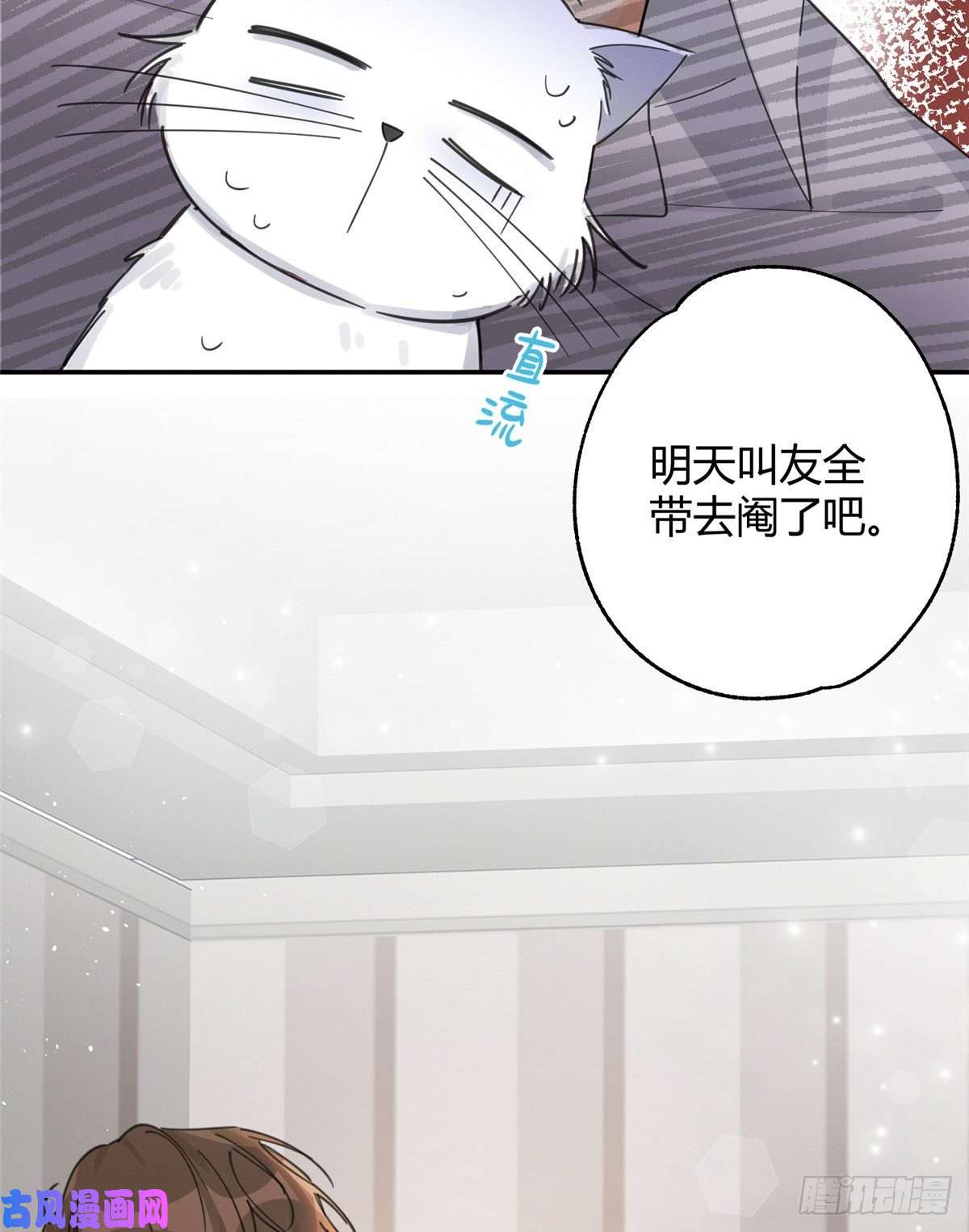 今天也要努力当只猫第5话 是公的！