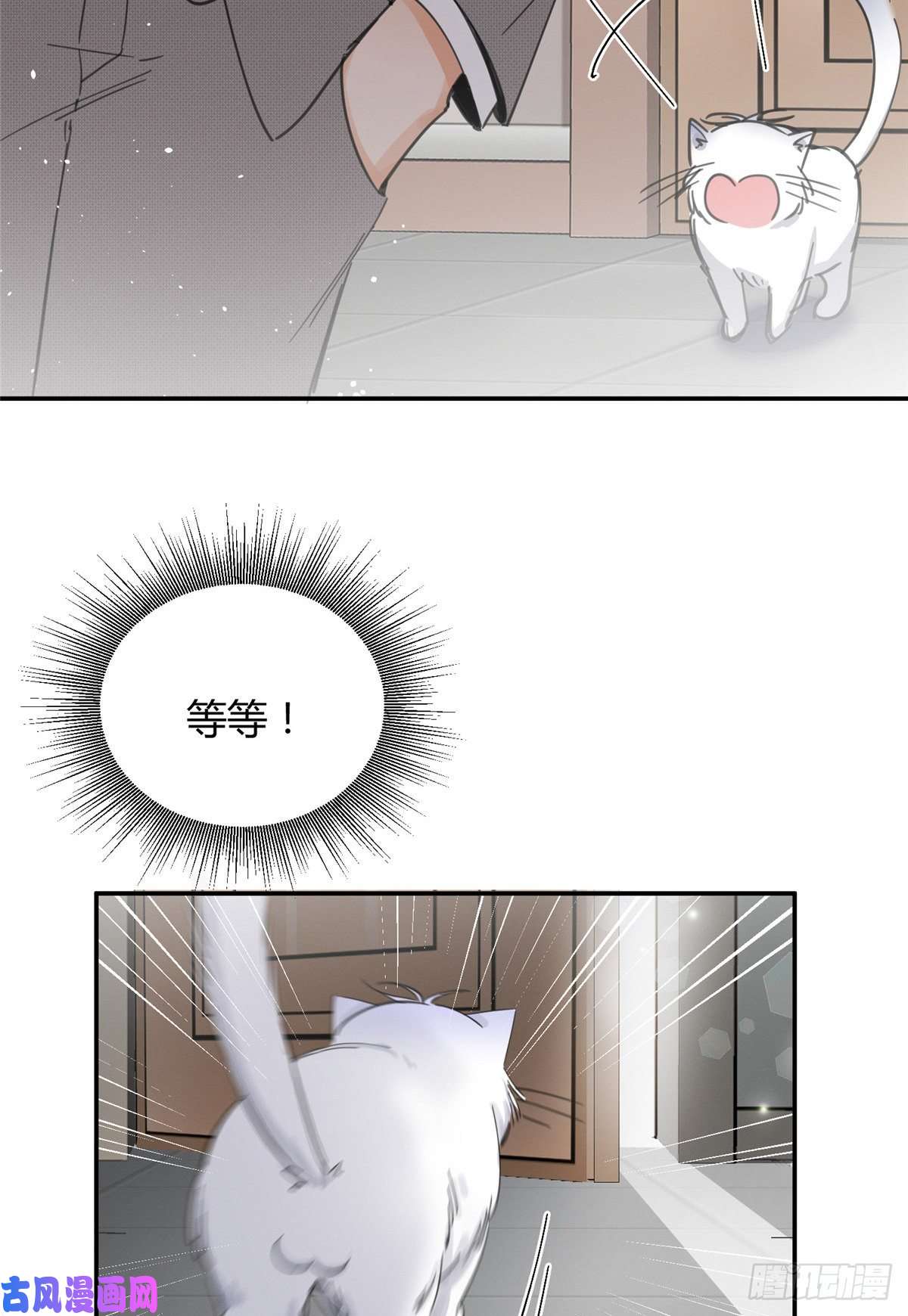 今天也要努力当只猫第5话 是公的！