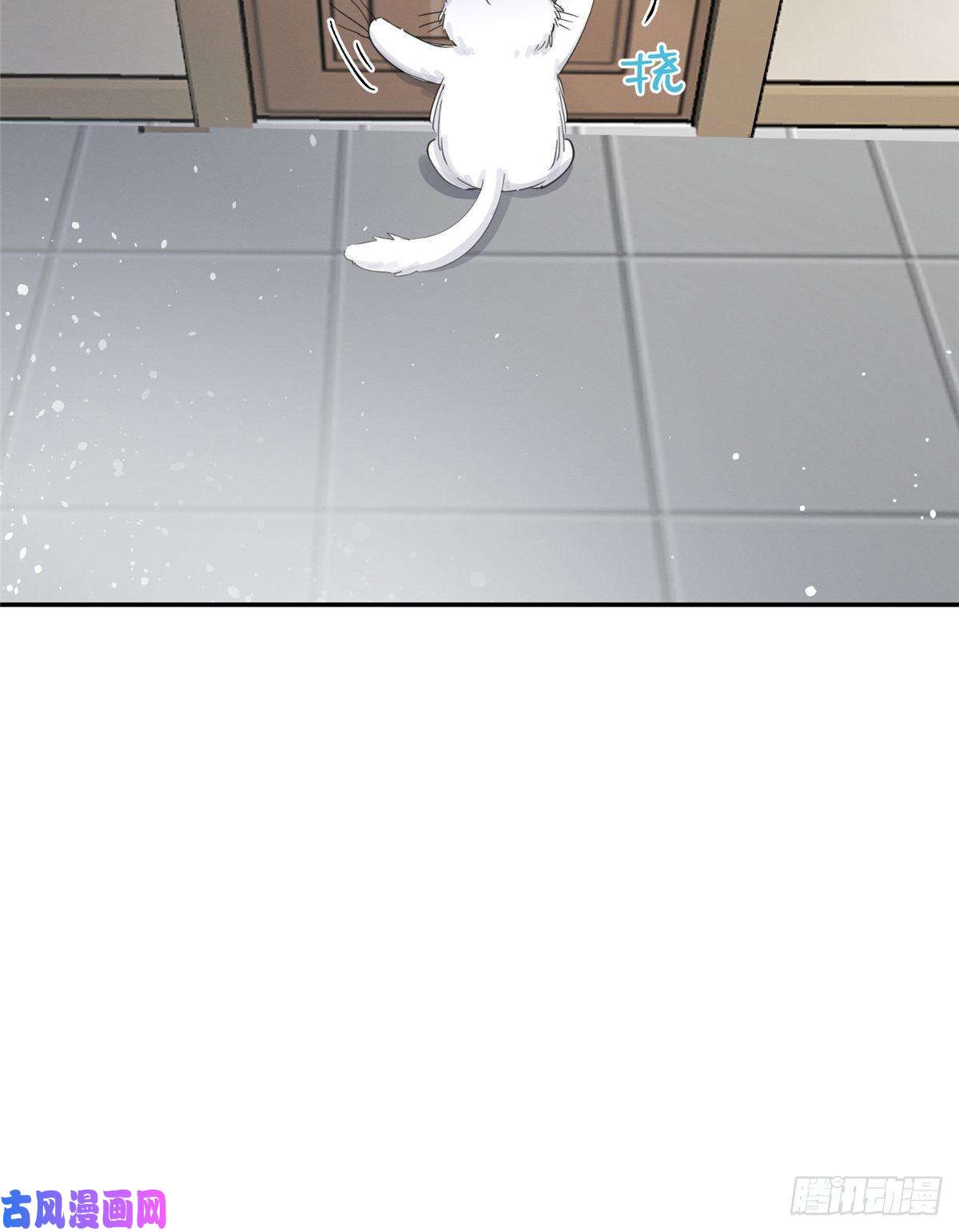 今天也要努力当只猫第5话 是公的！