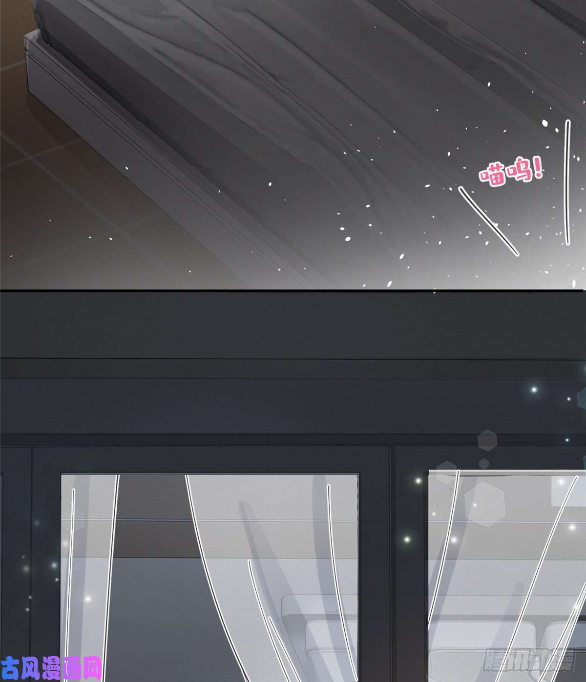 今天也要努力当只猫第5话 是公的！