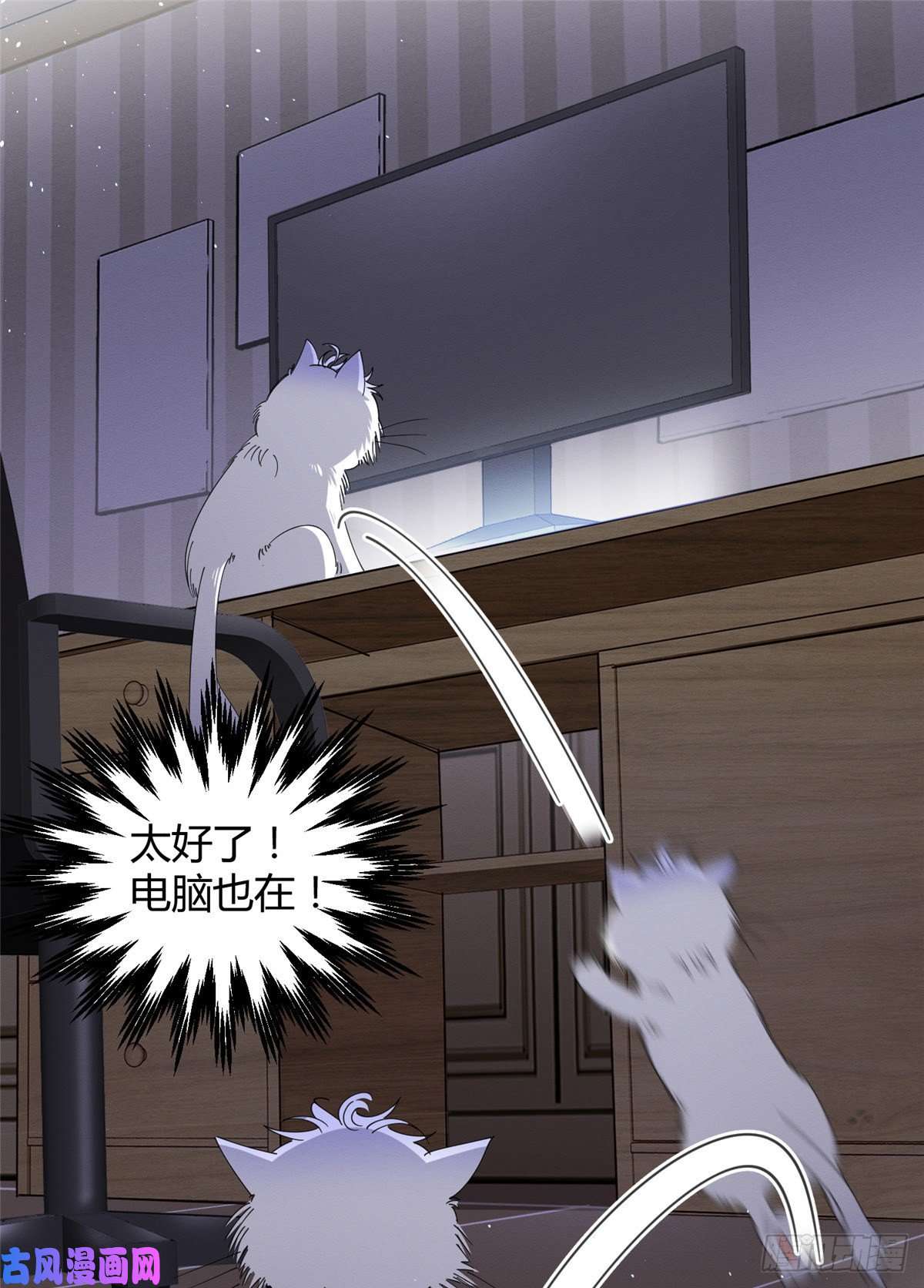 今天也要努力当只猫第6话 笨蛋！