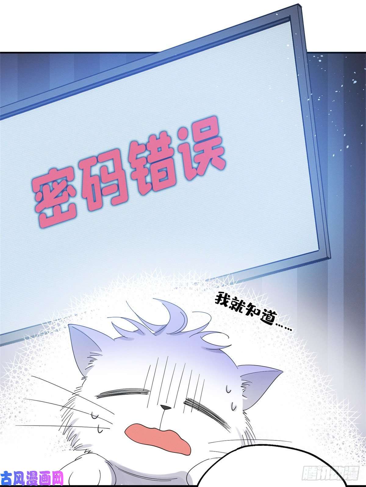 今天也要努力当只猫第6话 笨蛋！