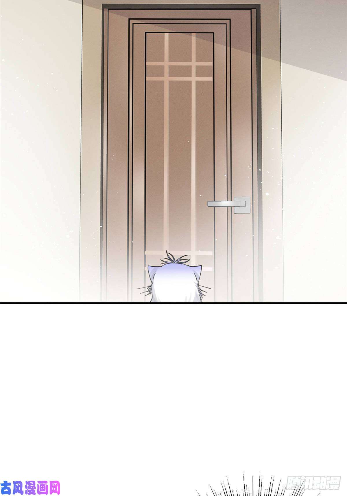 今天也要努力当只猫第6话 笨蛋！