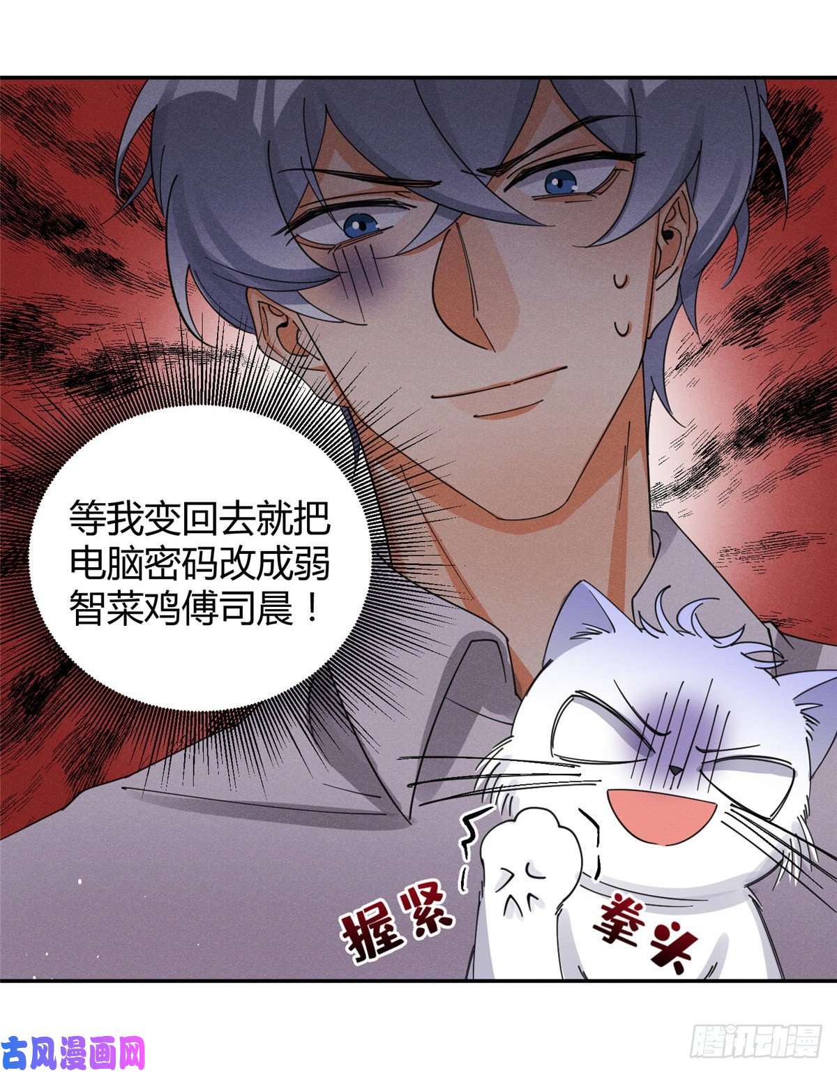 今天也要努力当只猫第6话 笨蛋！