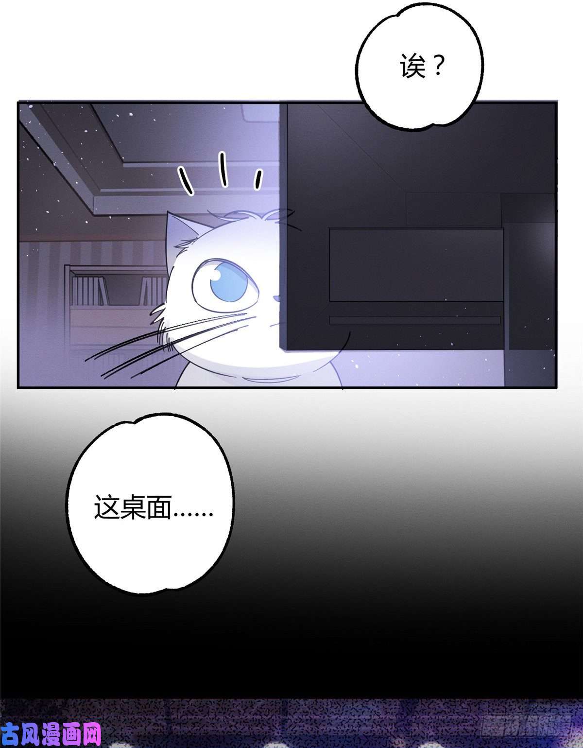 今天也要努力当只猫第6话 笨蛋！