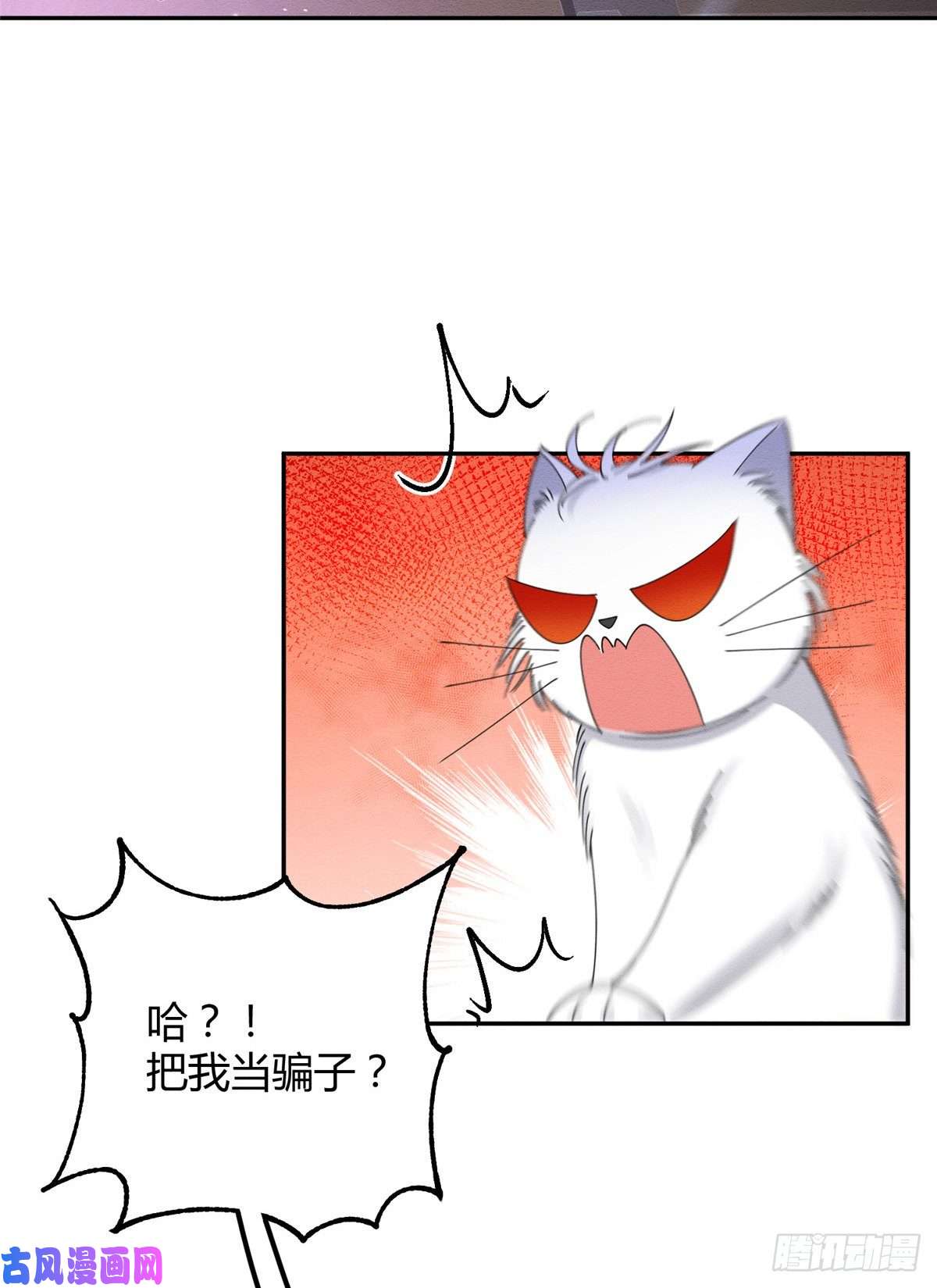 今天也要努力当只猫第6话 笨蛋！