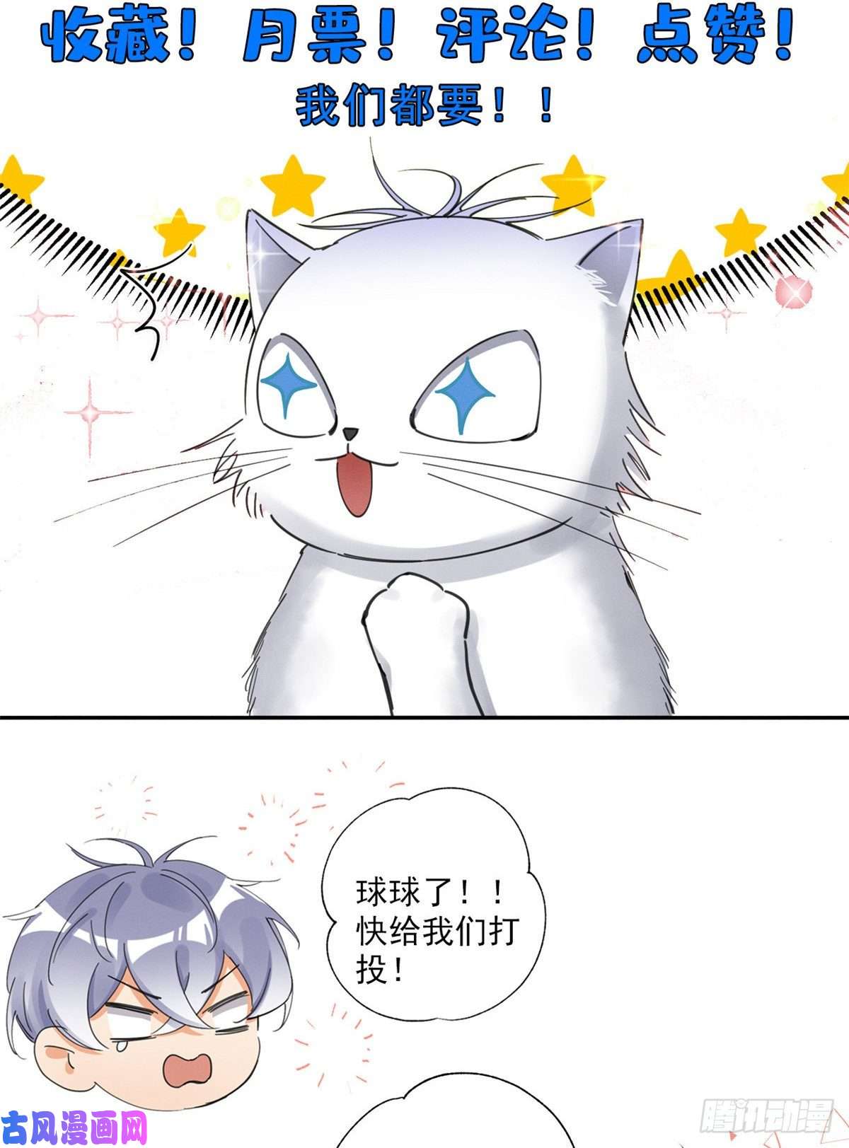 今天也要努力当只猫第6话 笨蛋！