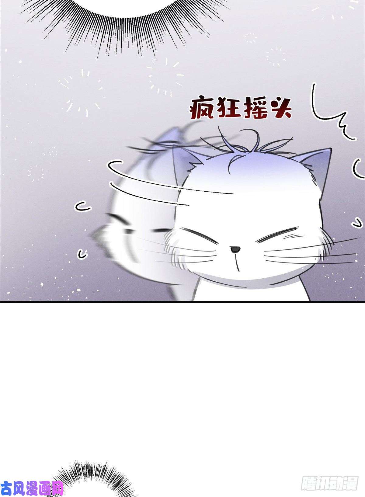 今天也要努力当只猫第6话 笨蛋！