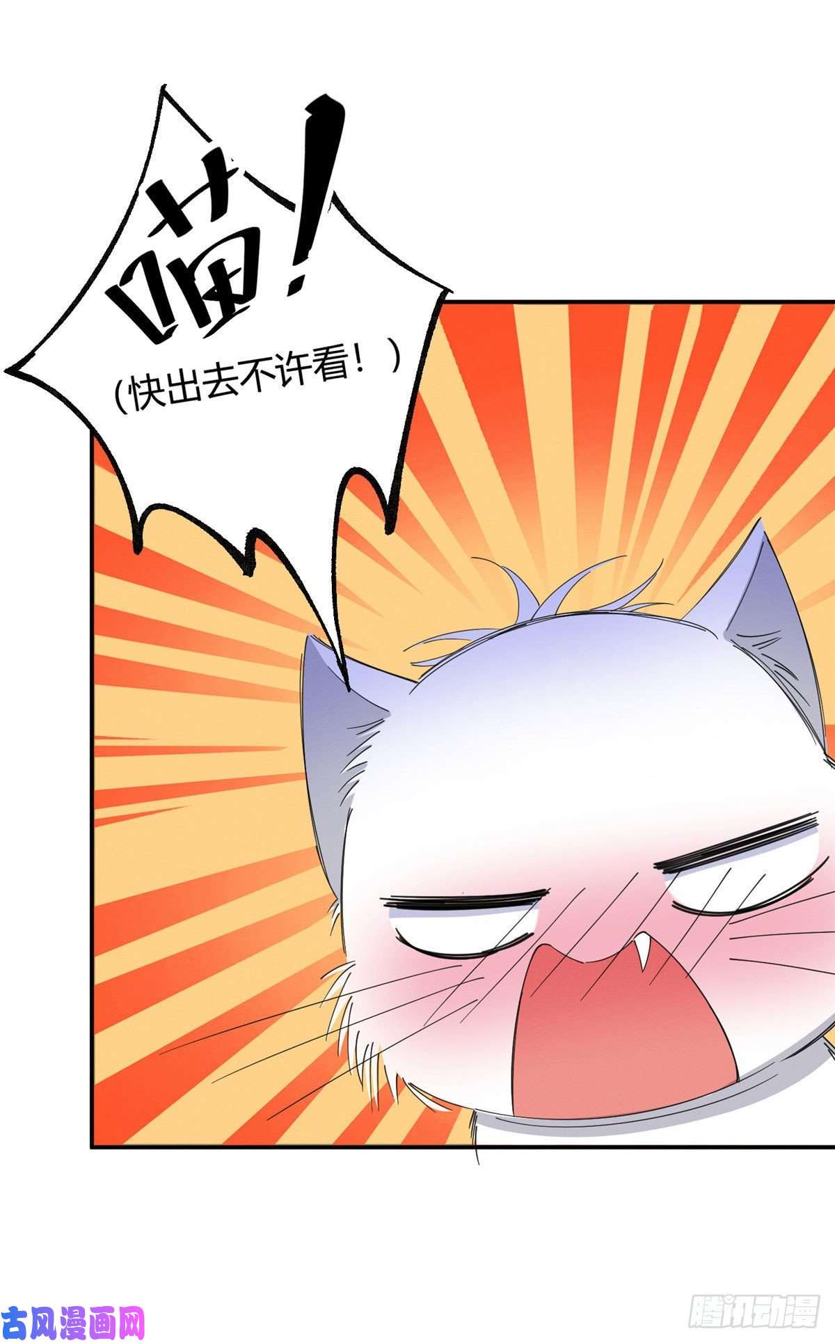 今天也要努力当只猫第7话 臭小子？