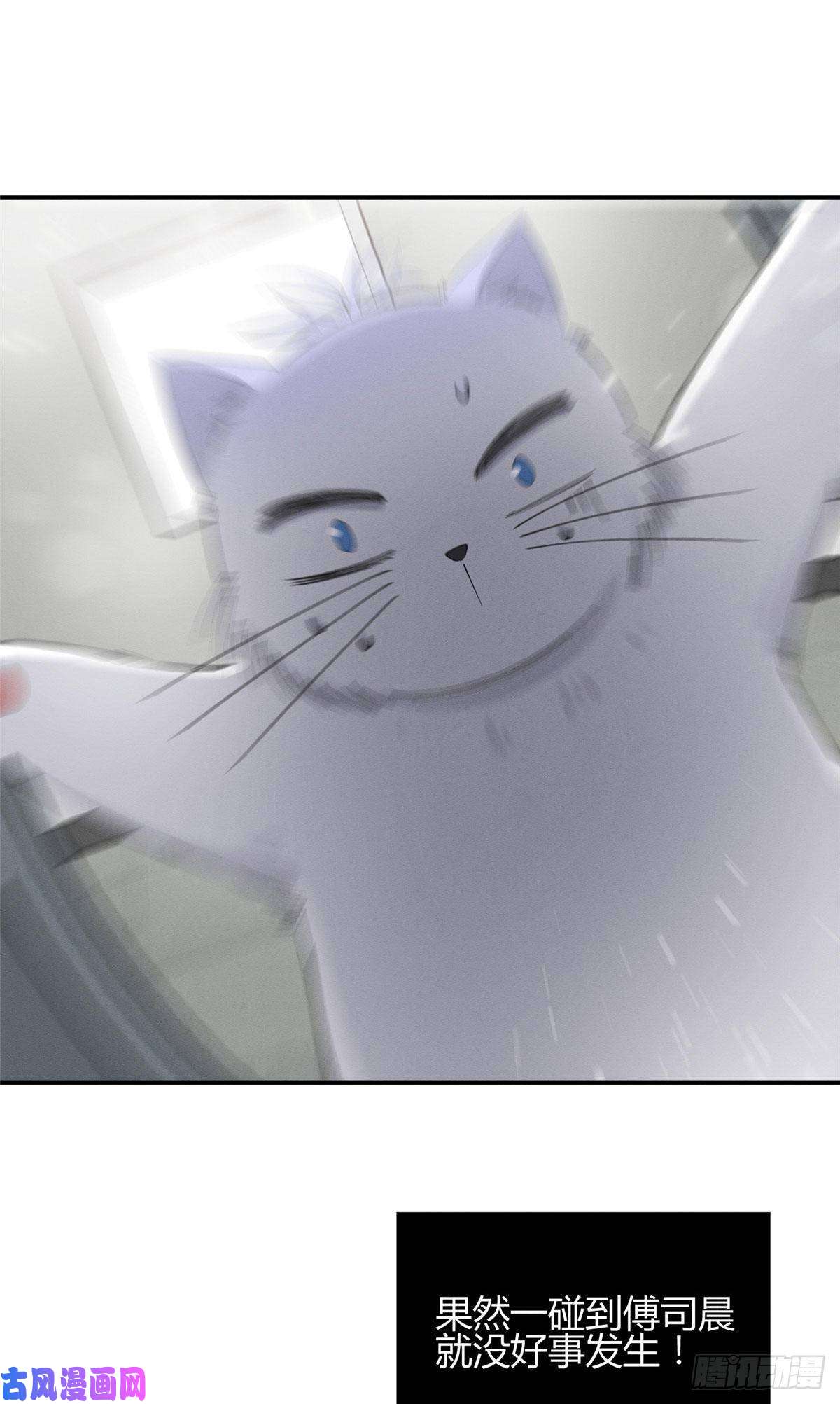 今天也要努力当只猫第7话 臭小子？