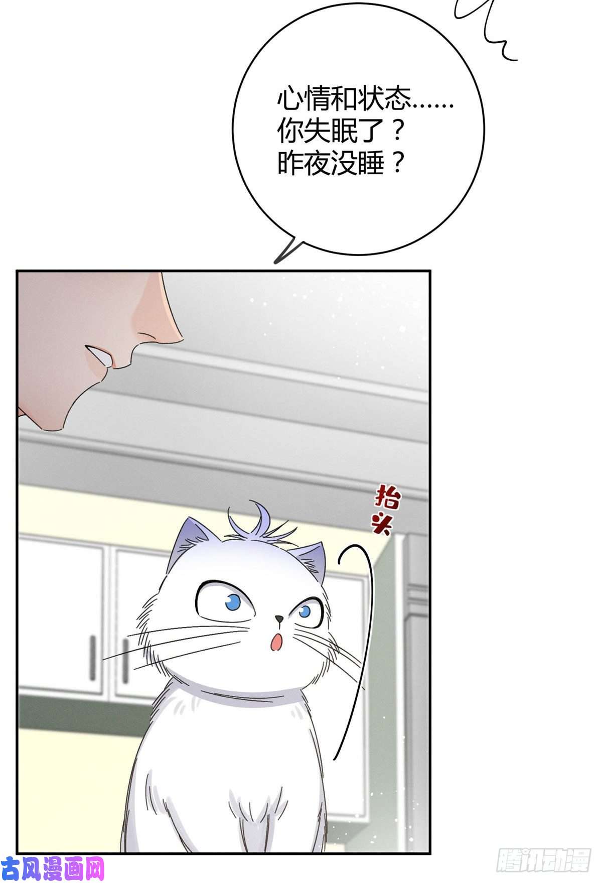 今天也要努力当只猫第7话 臭小子？