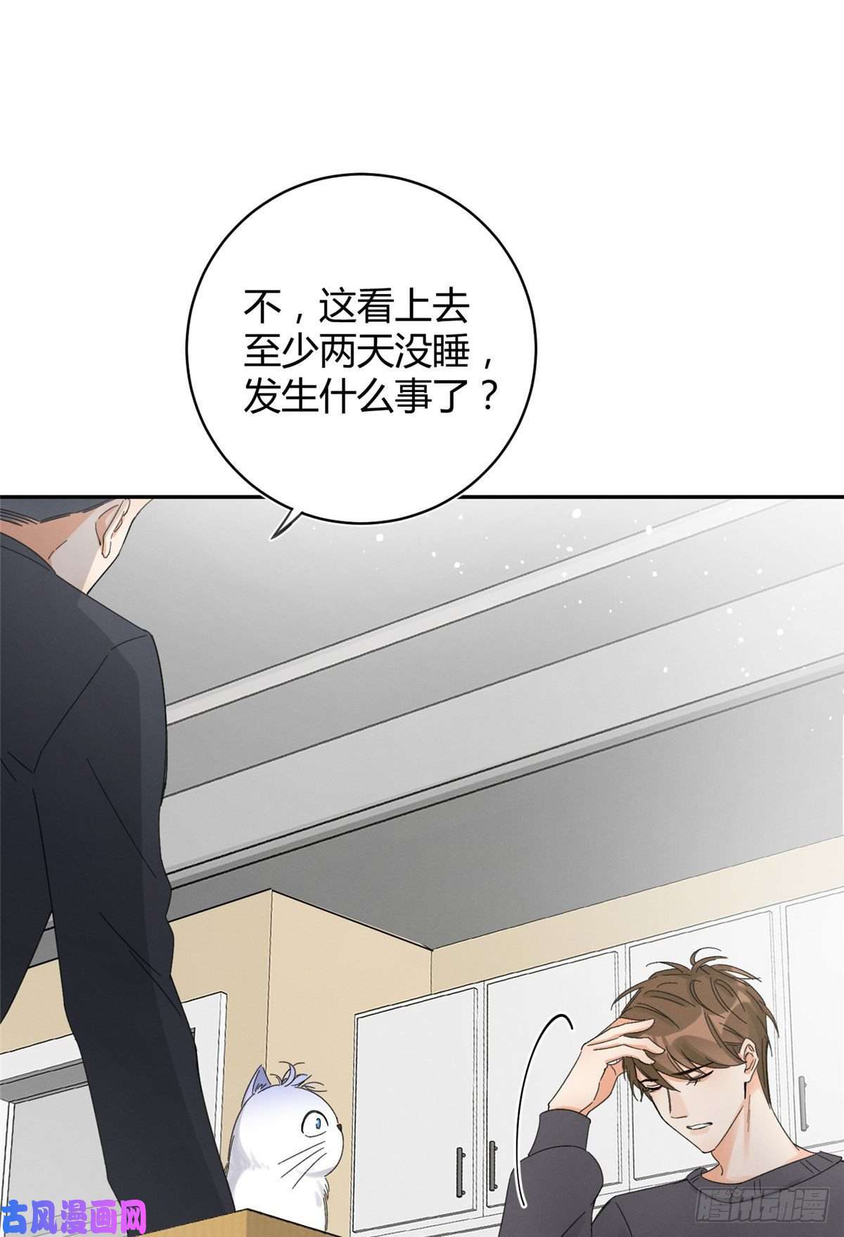 今天也要努力当只猫第7话 臭小子？