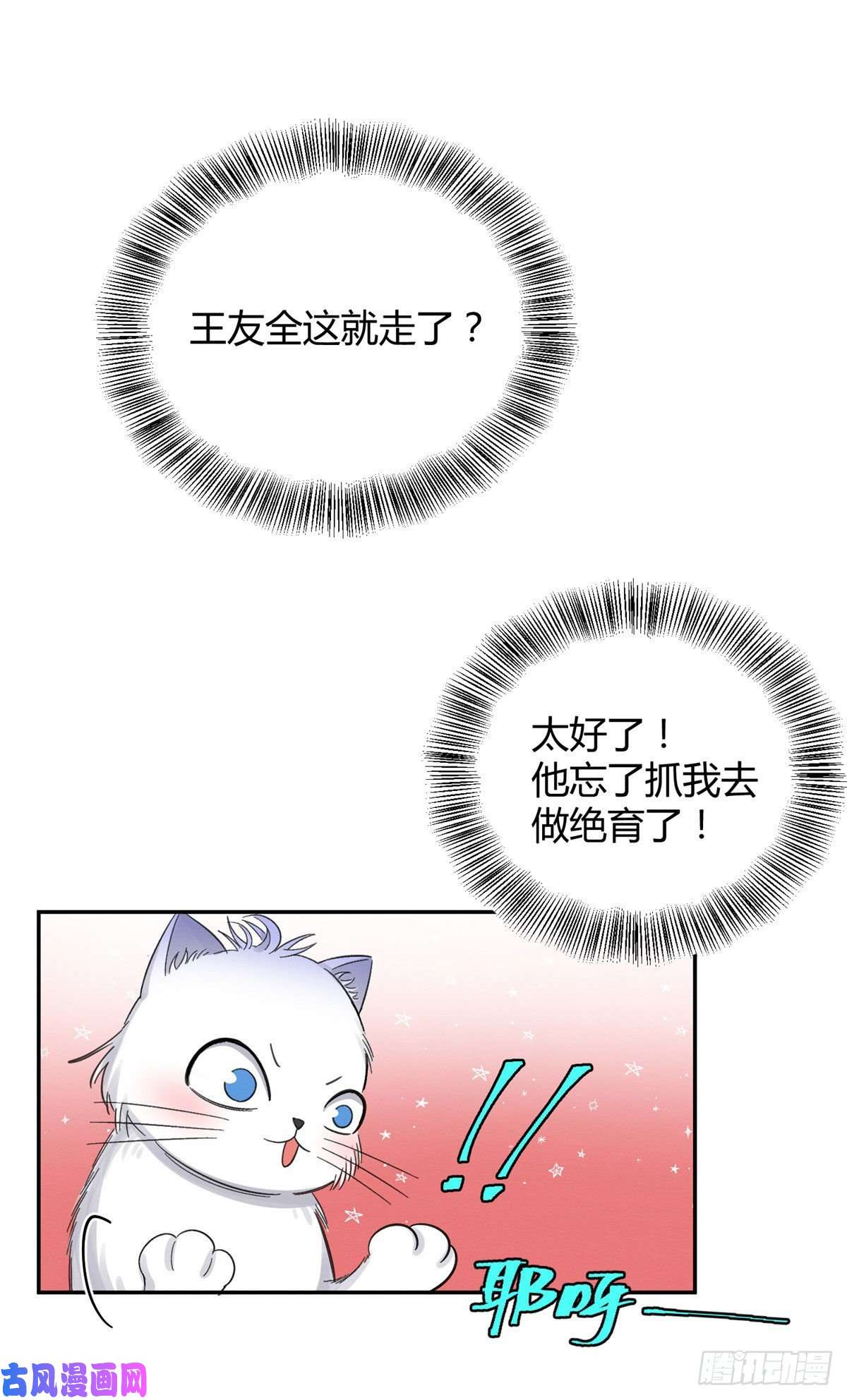 今天也要努力当只猫第7话 臭小子？