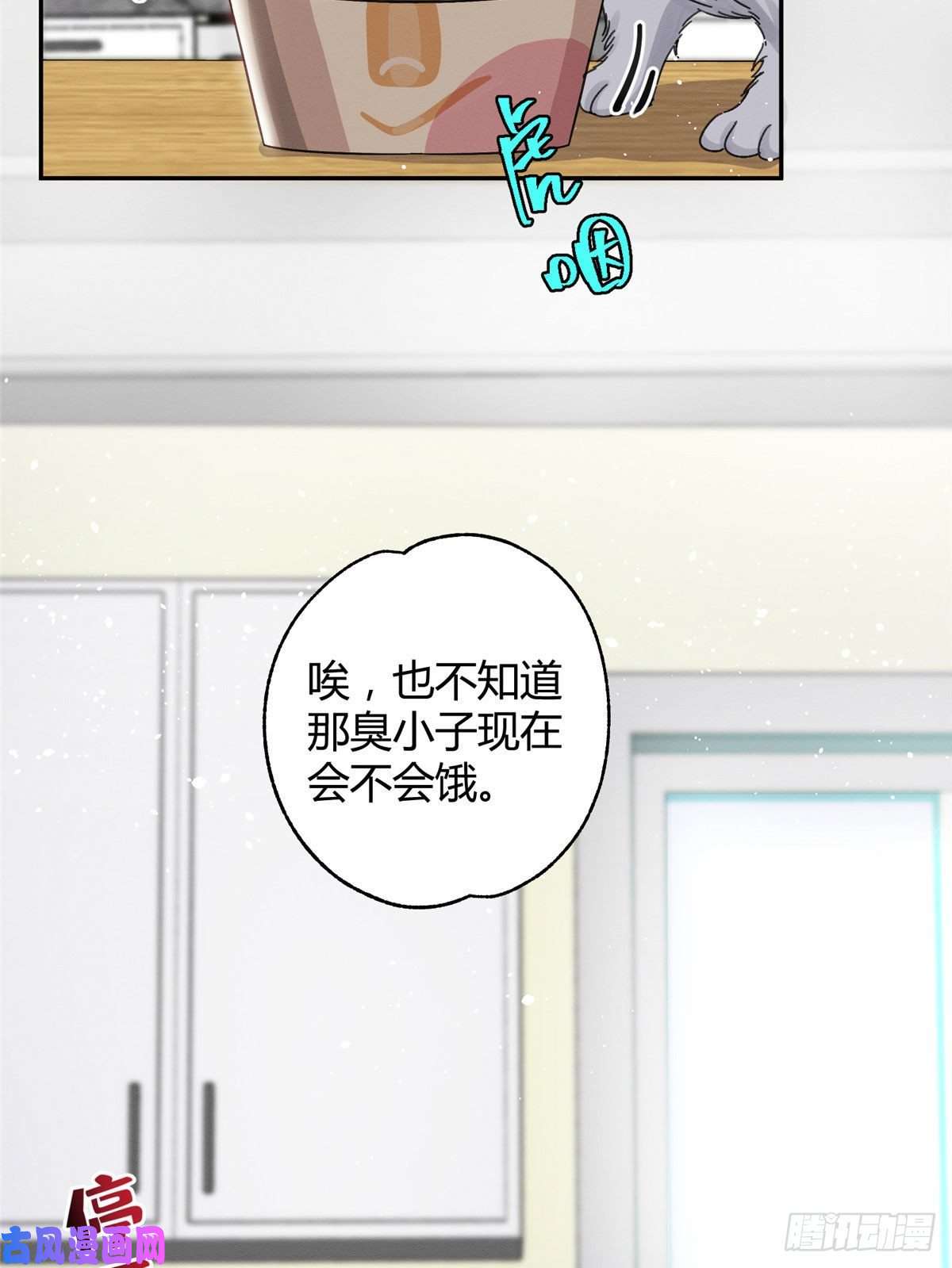 今天也要努力当只猫第7话 臭小子？