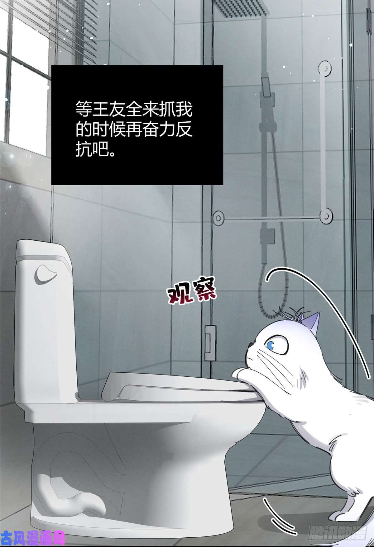 今天也要努力当只猫第7话 臭小子？