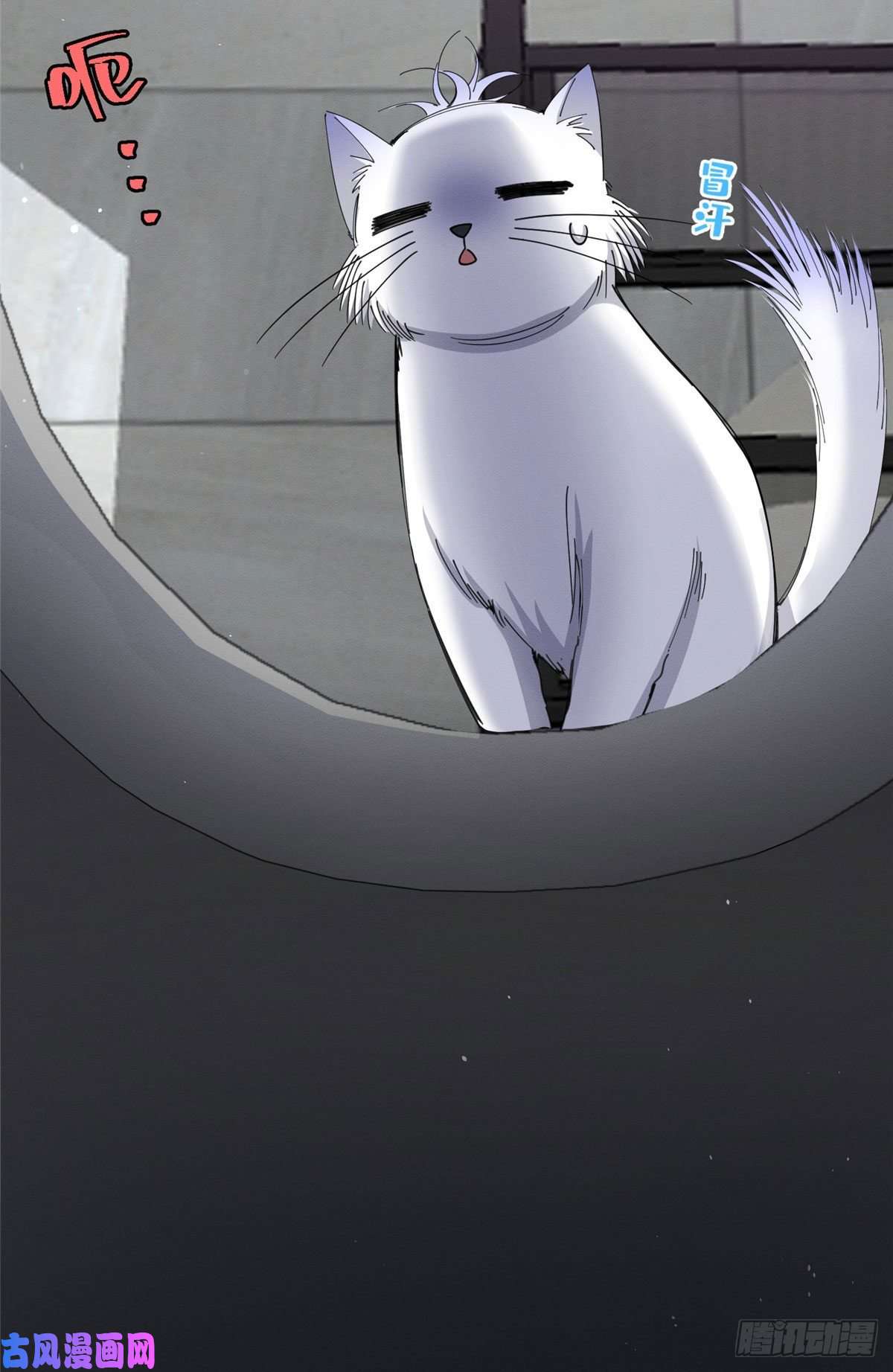今天也要努力当只猫第7话 臭小子？
