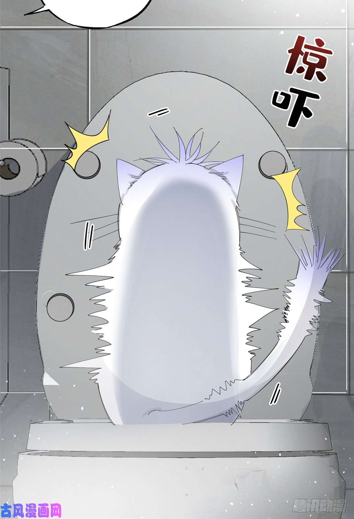 今天也要努力当只猫第7话 臭小子？