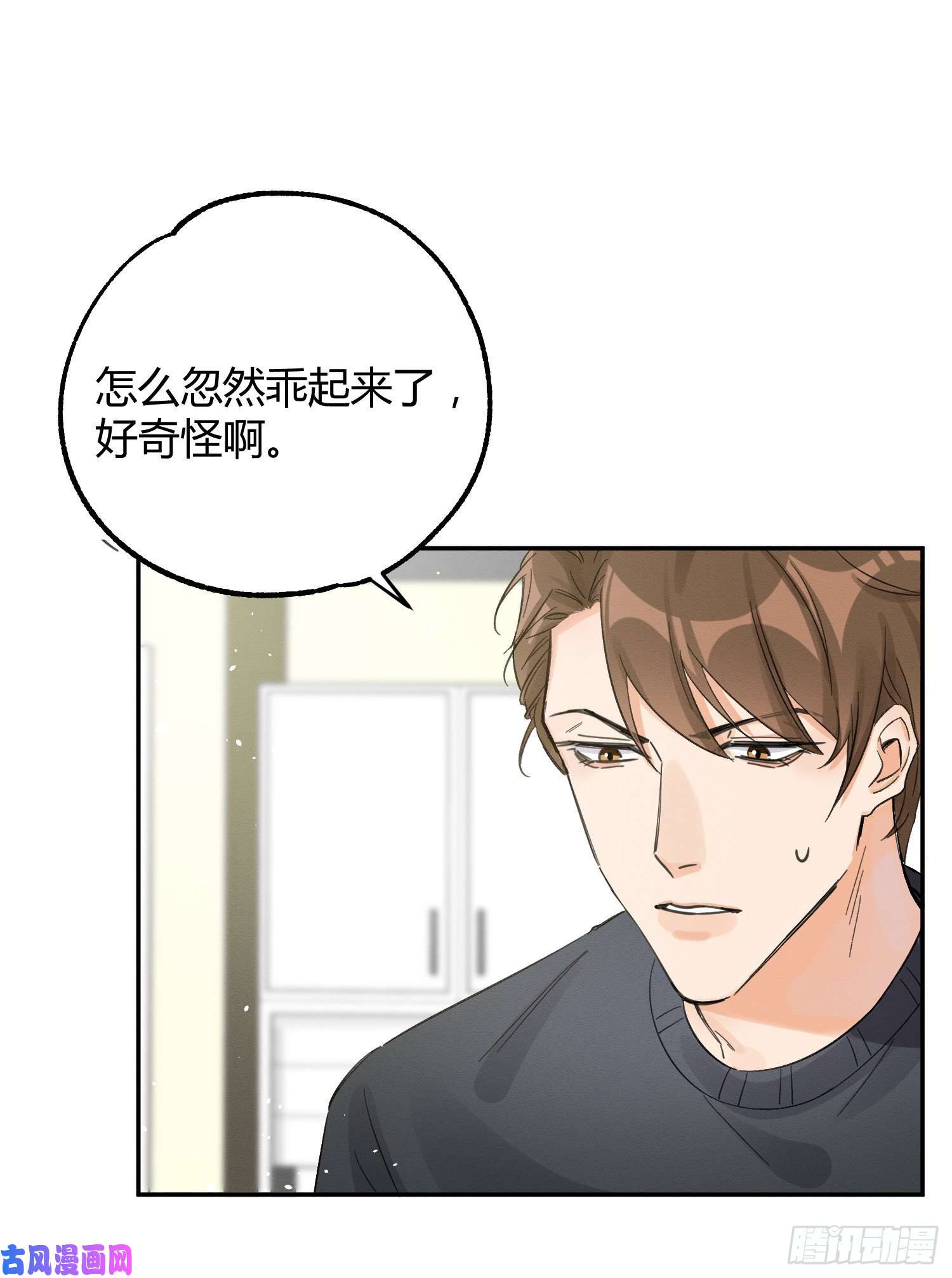 今天也要努力当只猫第8话 不可以碰我！