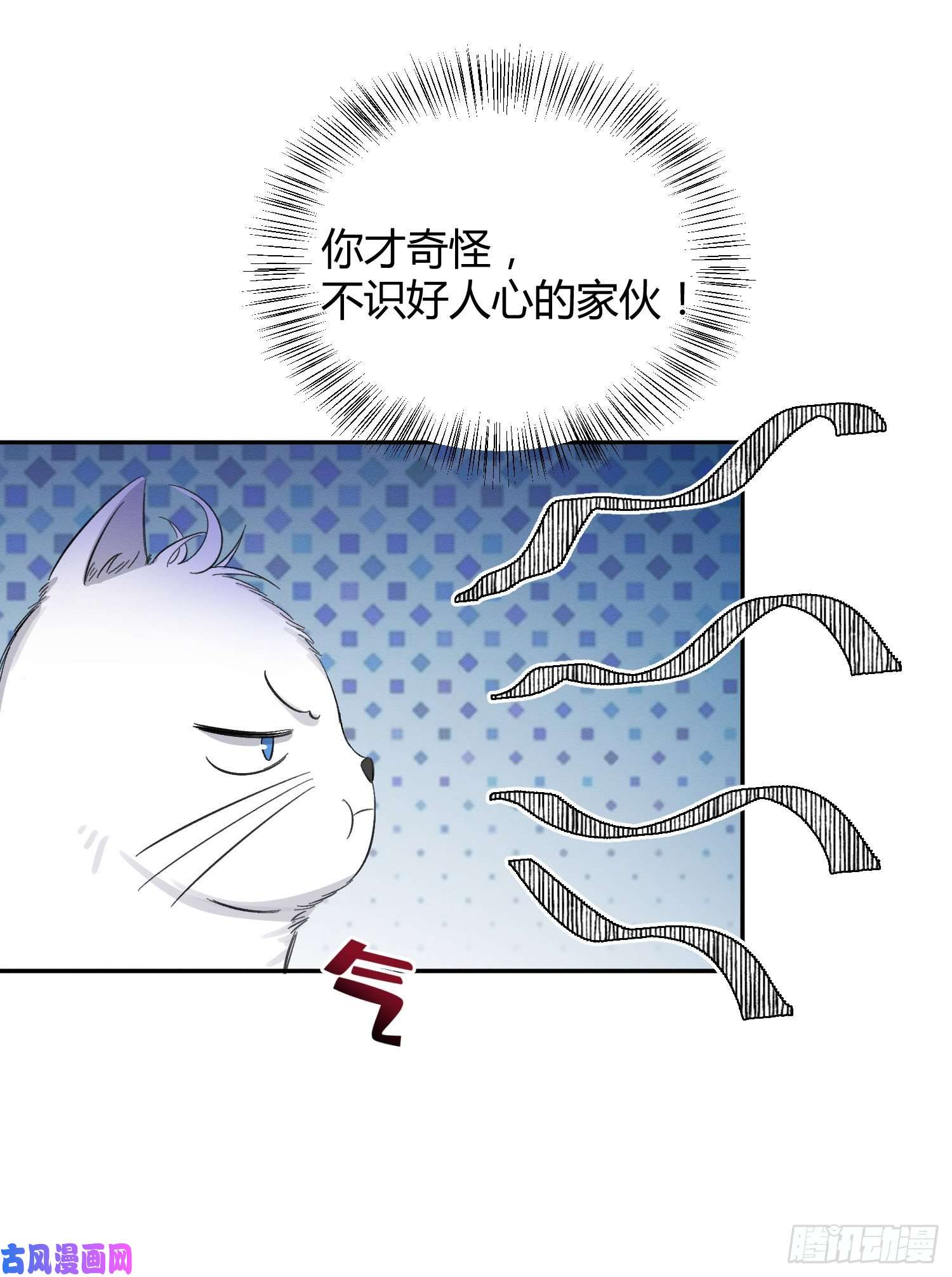 今天也要努力当只猫第8话 不可以碰我！
