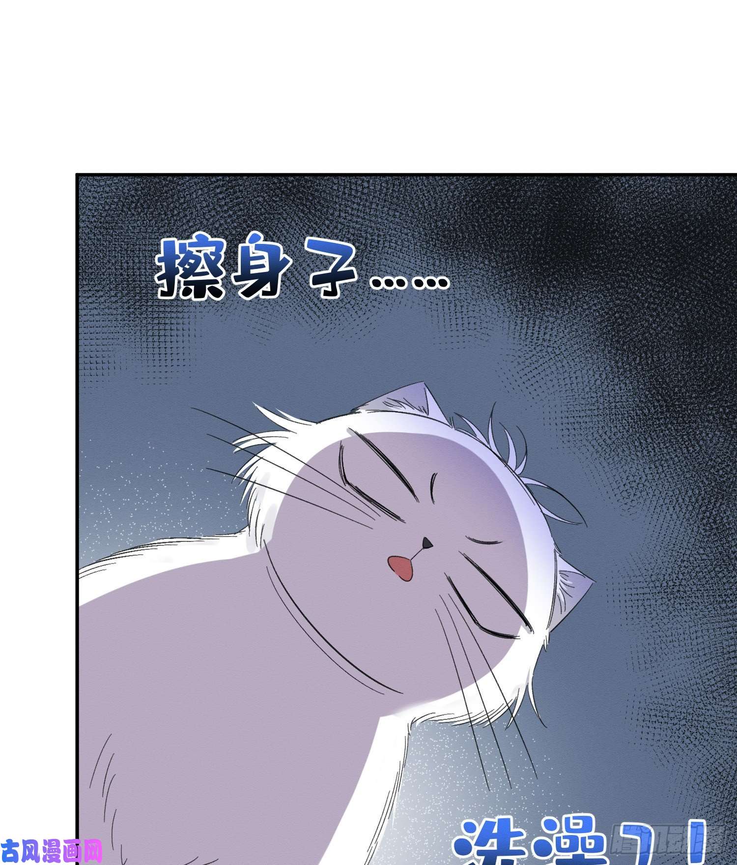 今天也要努力当只猫第8话 不可以碰我！