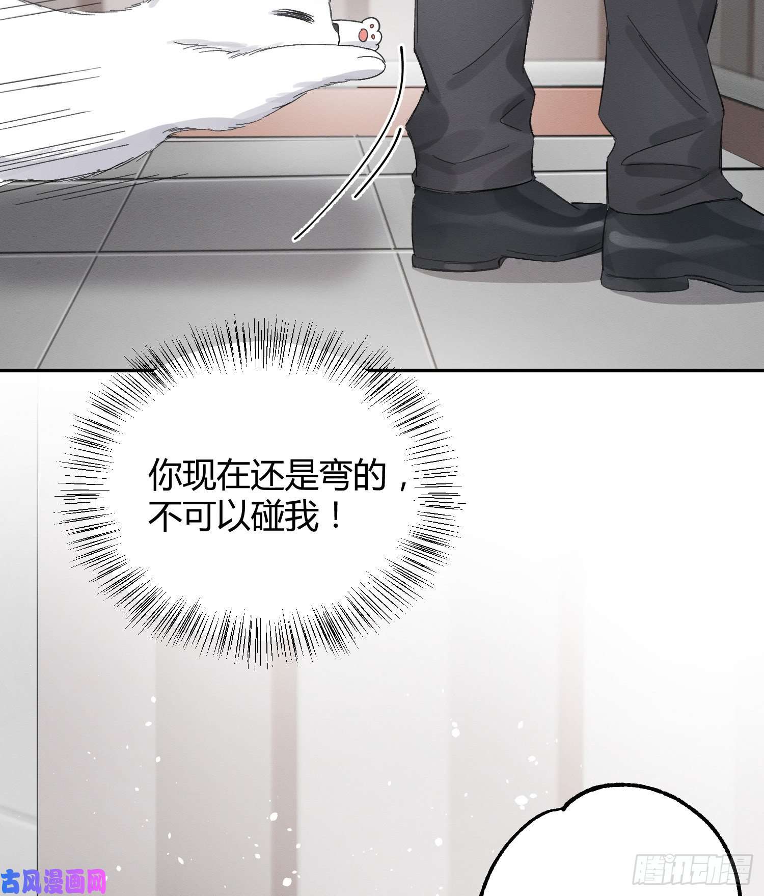 今天也要努力当只猫第8话 不可以碰我！