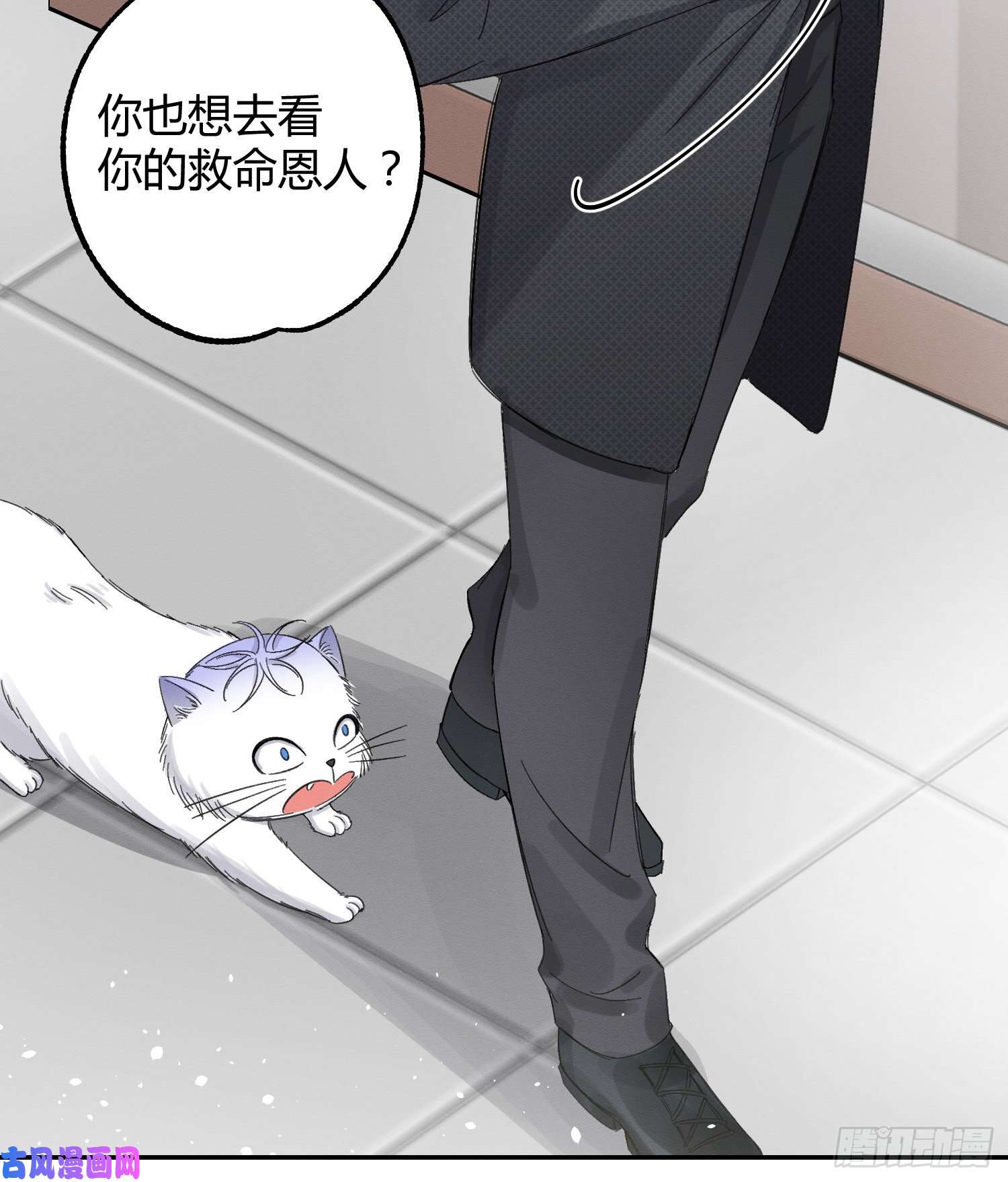 今天也要努力当只猫第8话 不可以碰我！