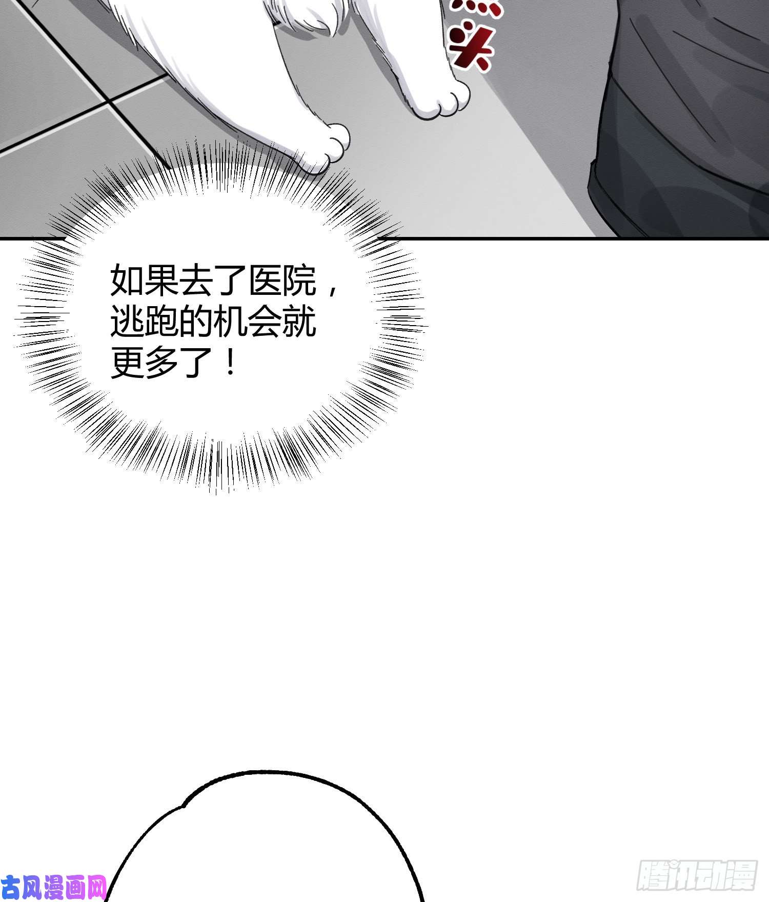 今天也要努力当只猫第8话 不可以碰我！