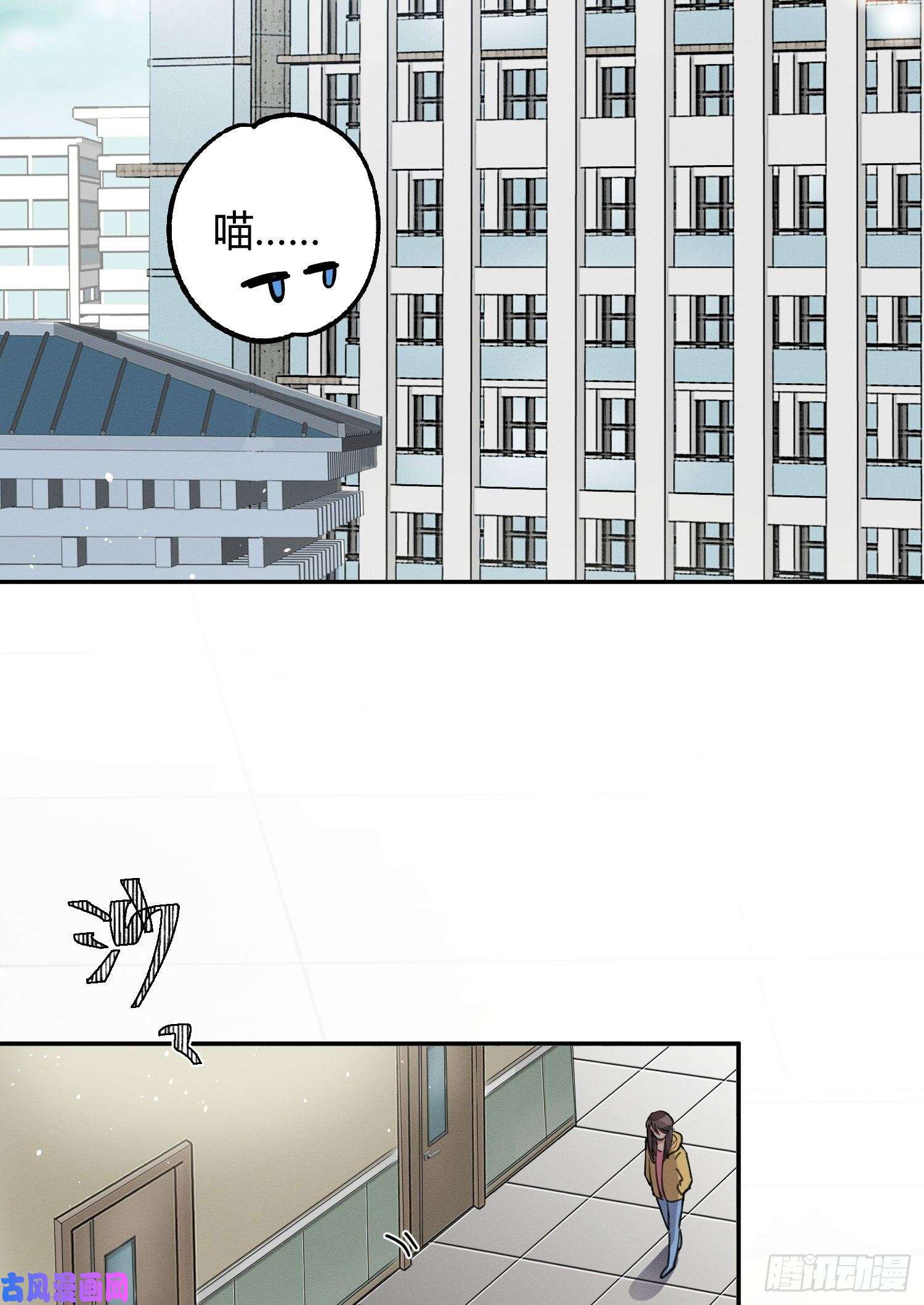 今天也要努力当只猫第8话 不可以碰我！