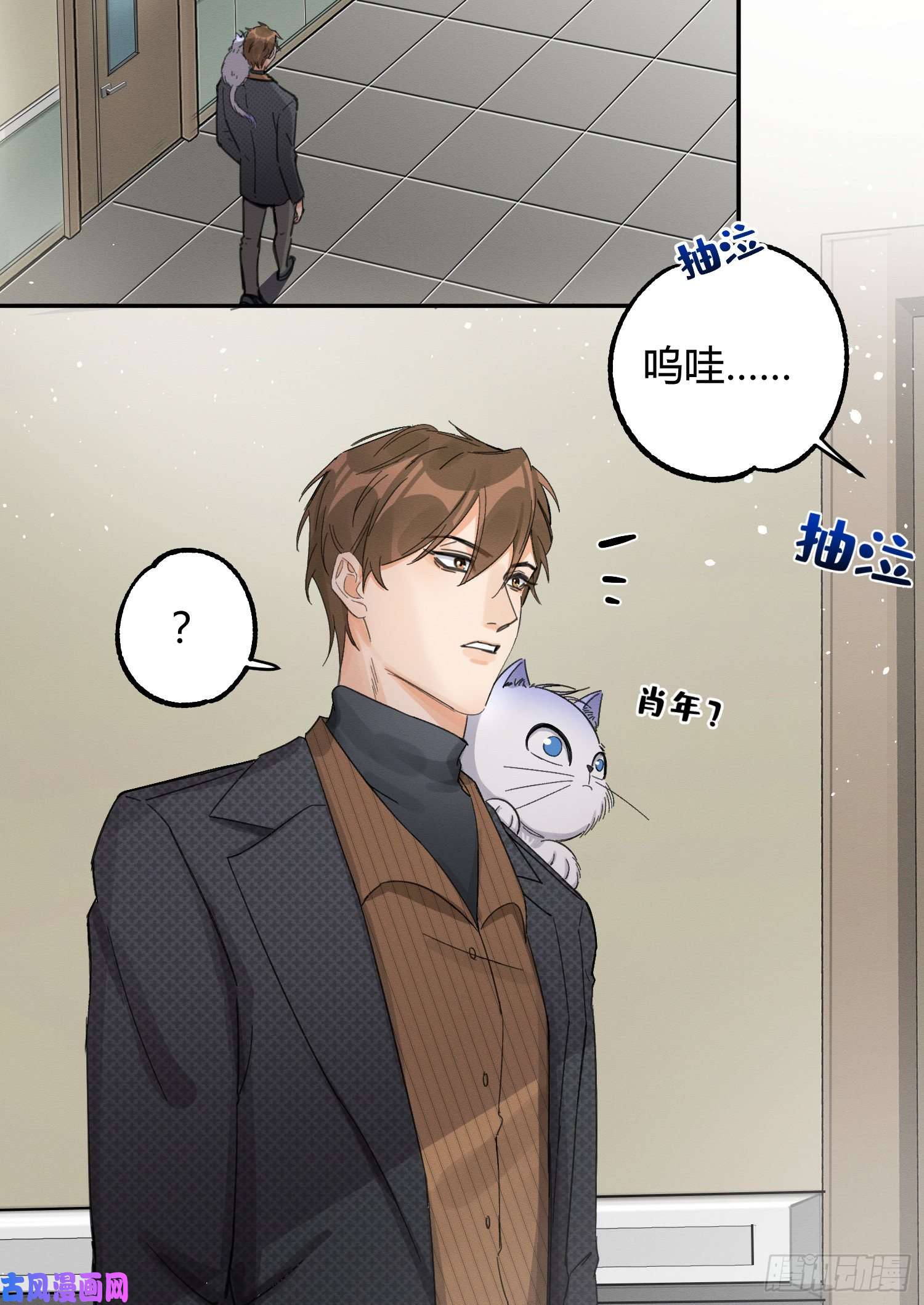 今天也要努力当只猫第8话 不可以碰我！