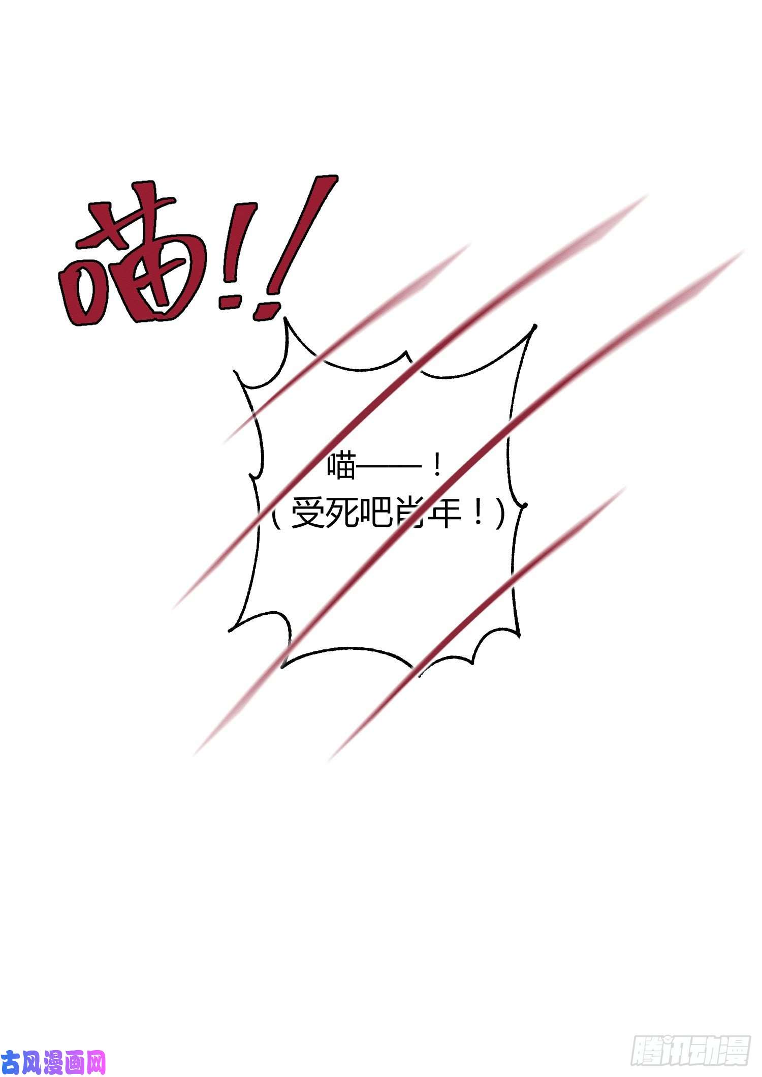 今天也要努力当只猫第8话 不可以碰我！