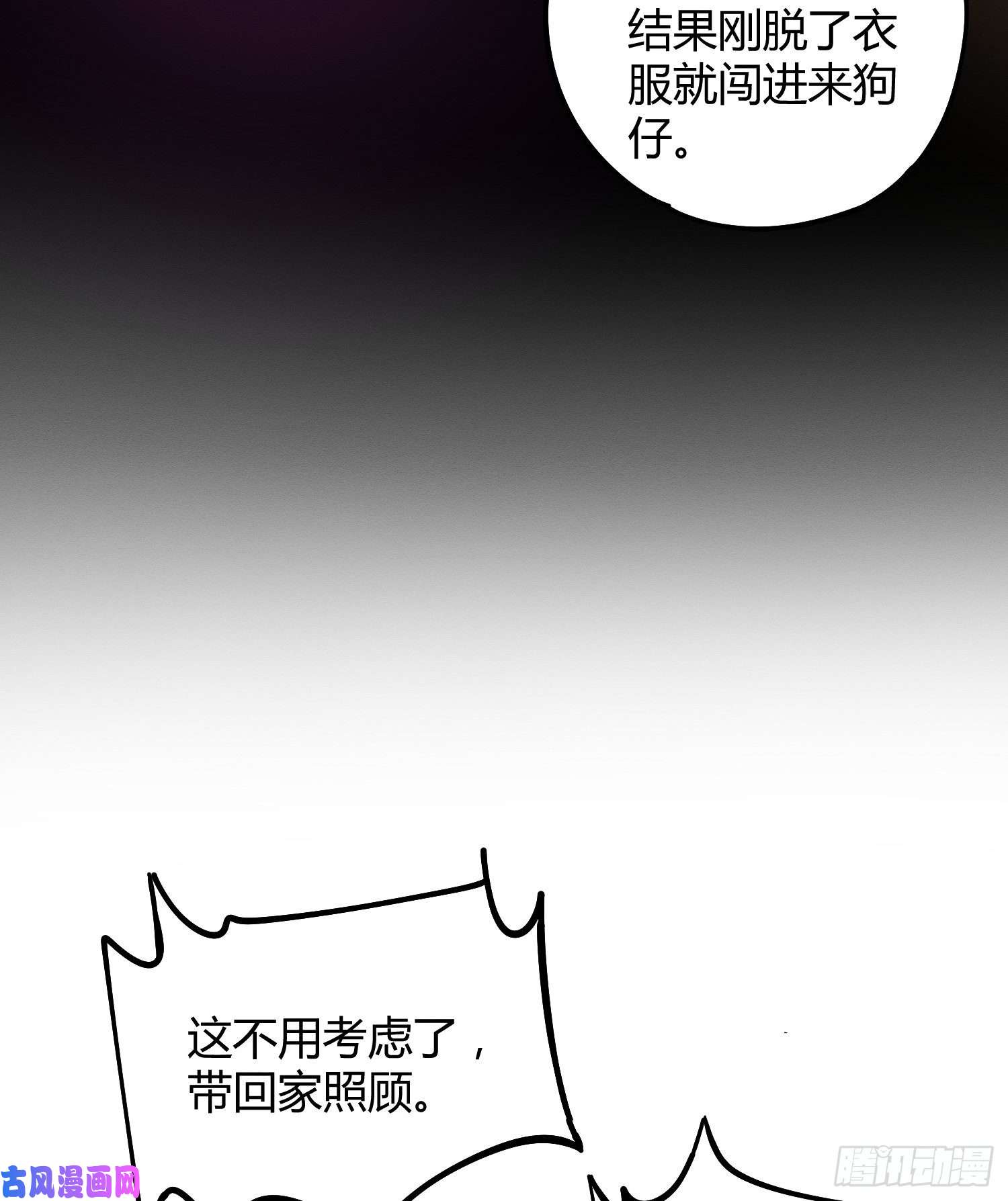 今天也要努力当只猫第8话 不可以碰我！