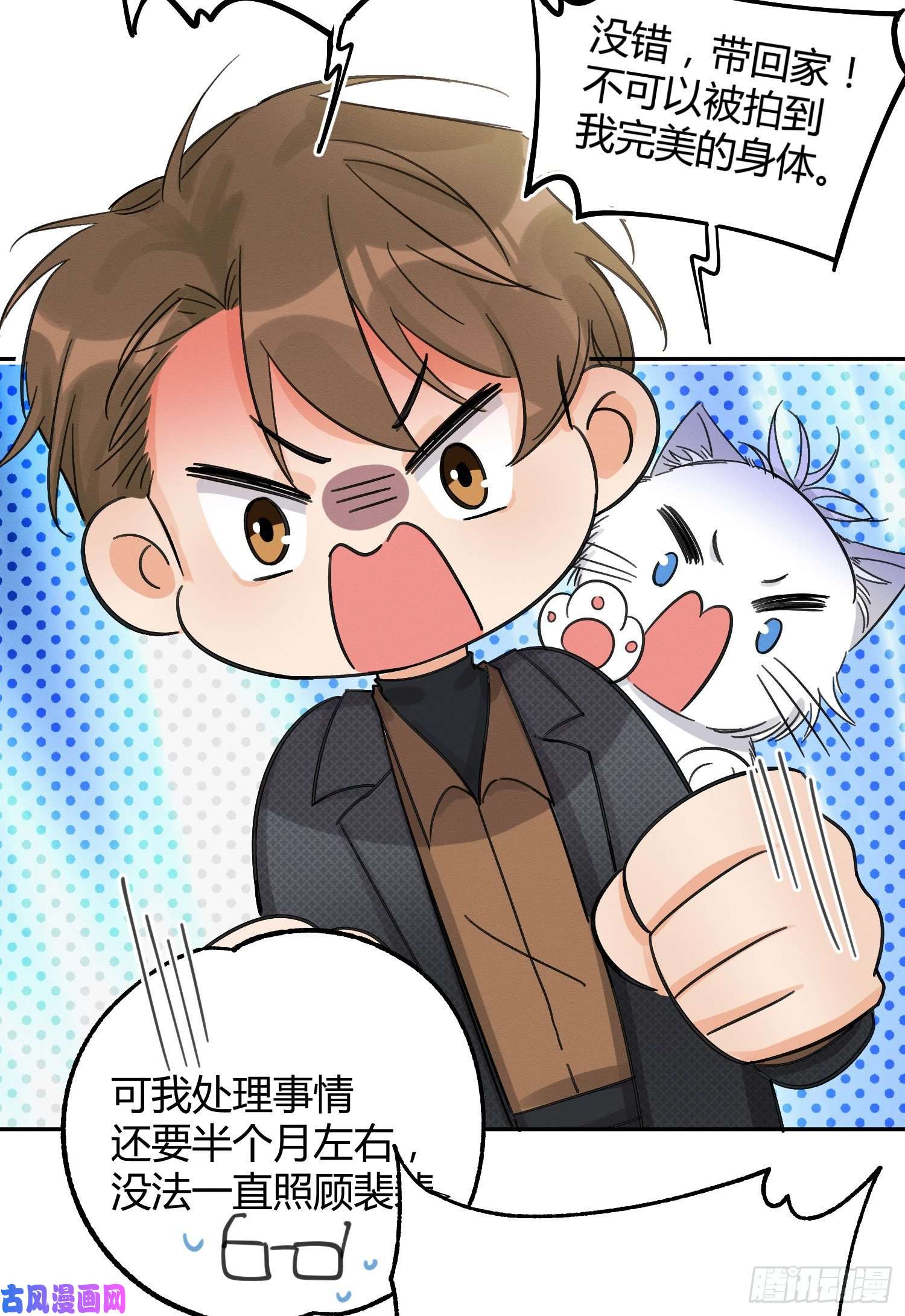 今天也要努力当只猫第8话 不可以碰我！