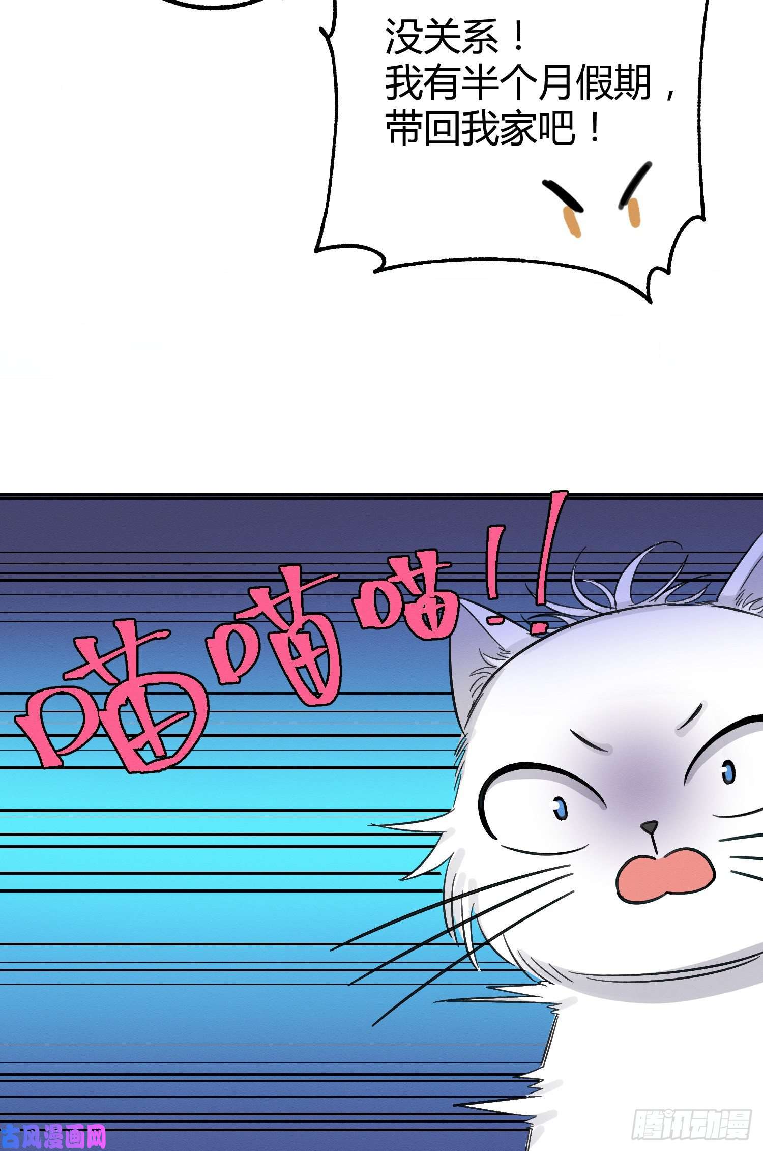 今天也要努力当只猫第8话 不可以碰我！