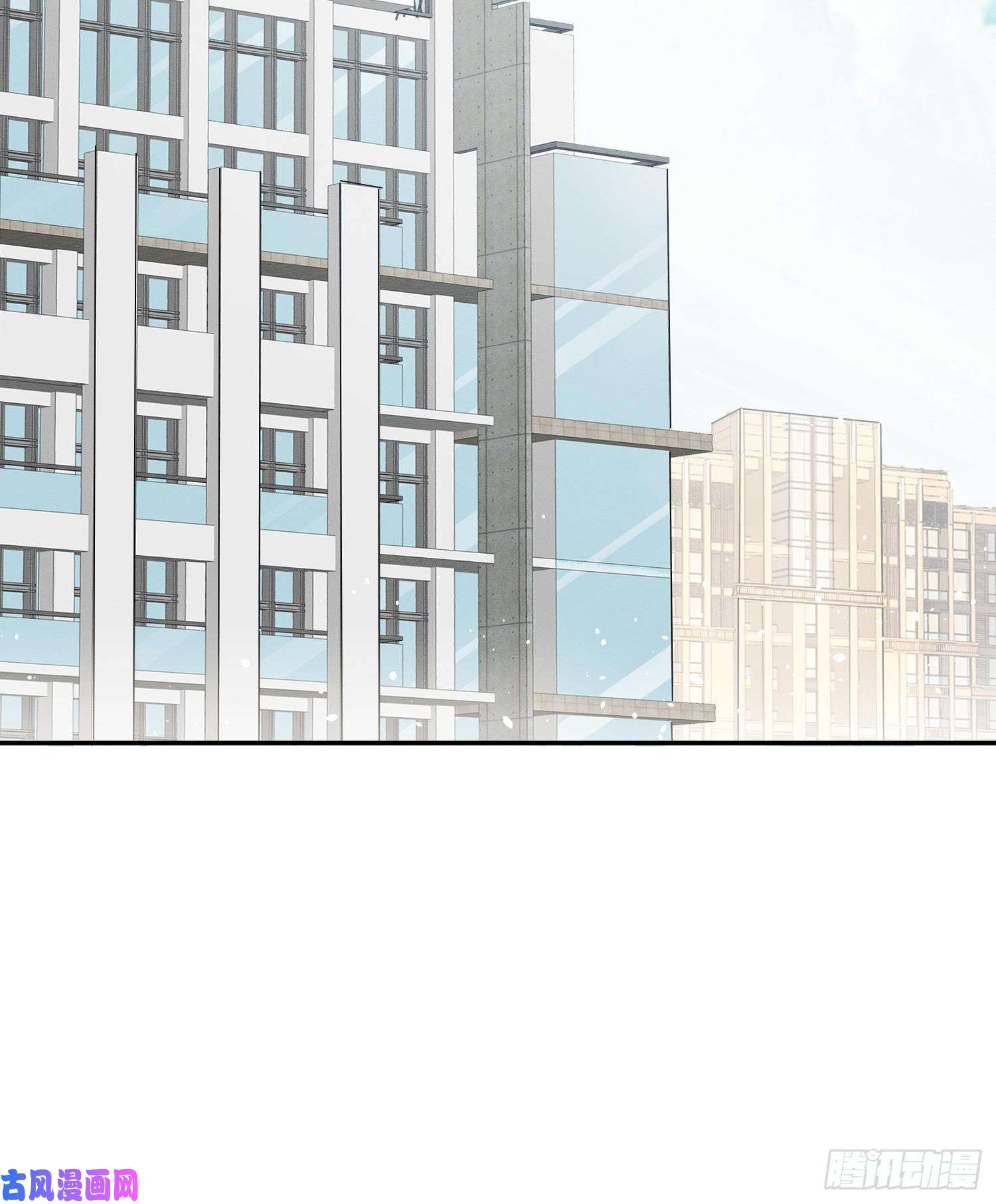 今天也要努力当只猫第8话 不可以碰我！